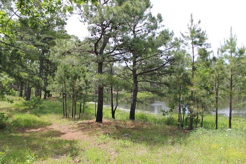Indian Ridge – Phase II Tract 52 photo 11