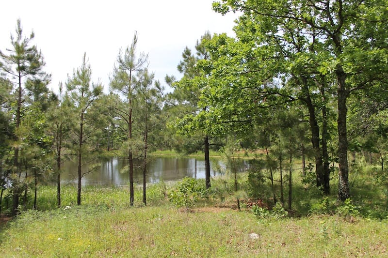 Indian Ridge – Phase II Tract 52 photo 12