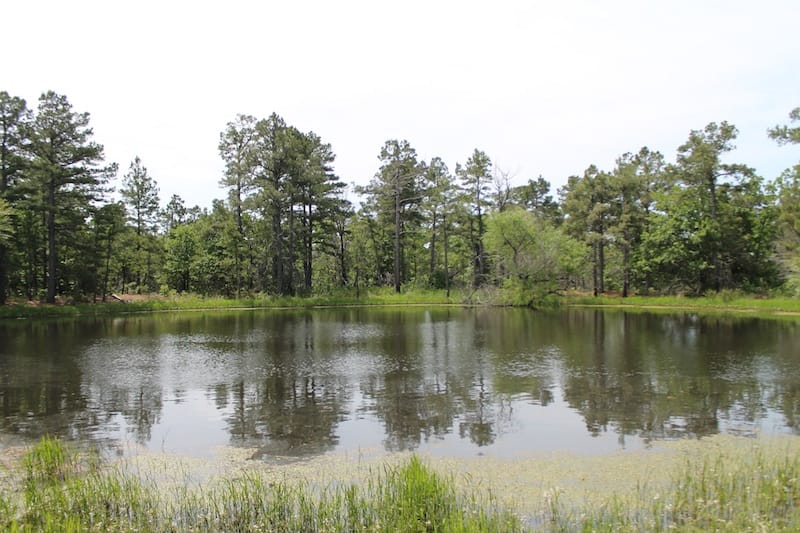Indian Ridge – Phase II Tract 52 photo 13