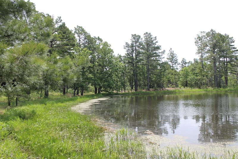 Indian Ridge – Phase II Tract 52 photo 14