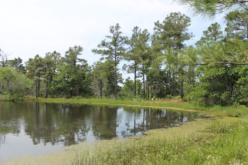 Indian Ridge – Phase II Tract 52 photo 15