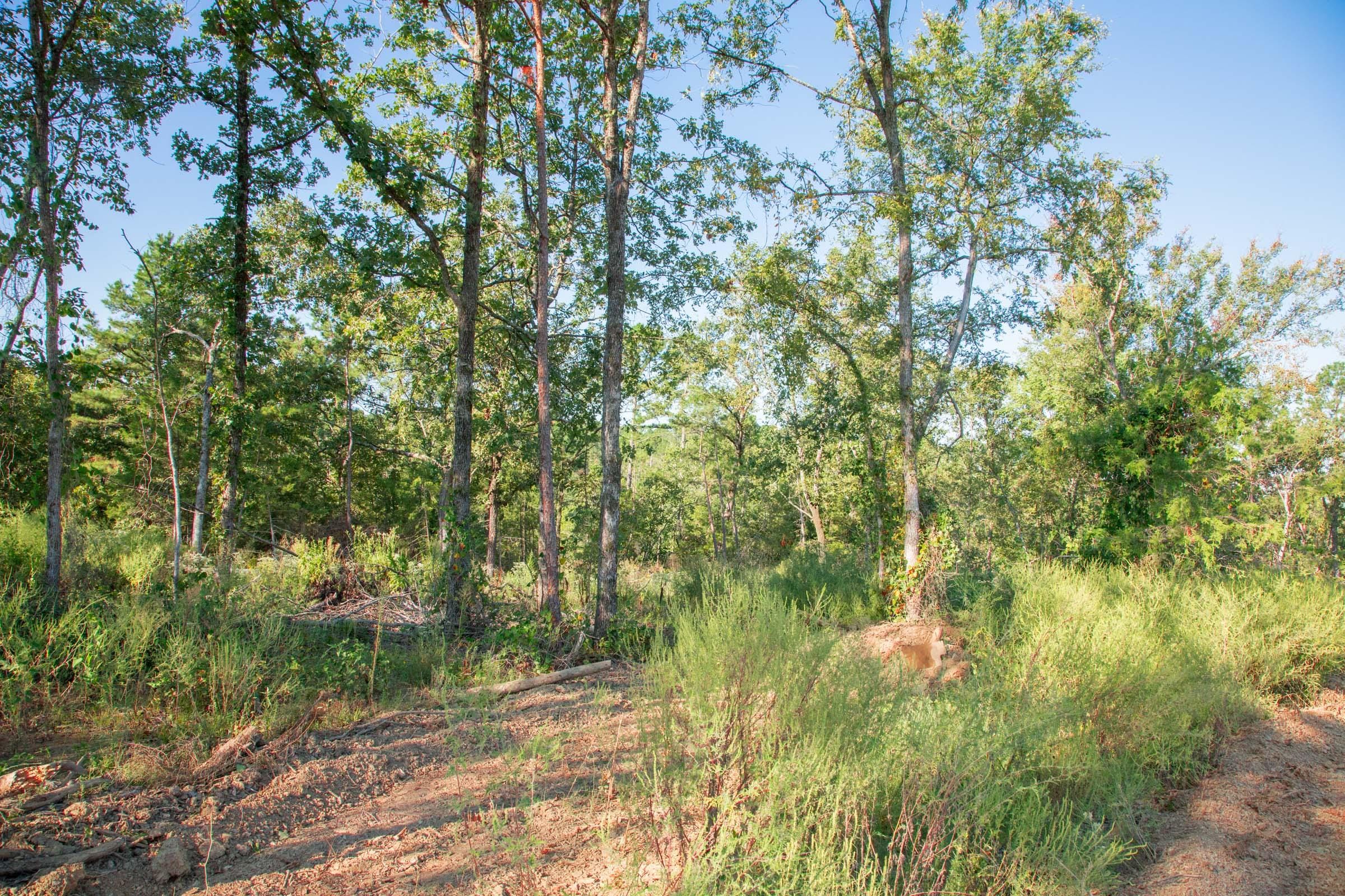 Stone Creek Phase II Tract 274 photo 2