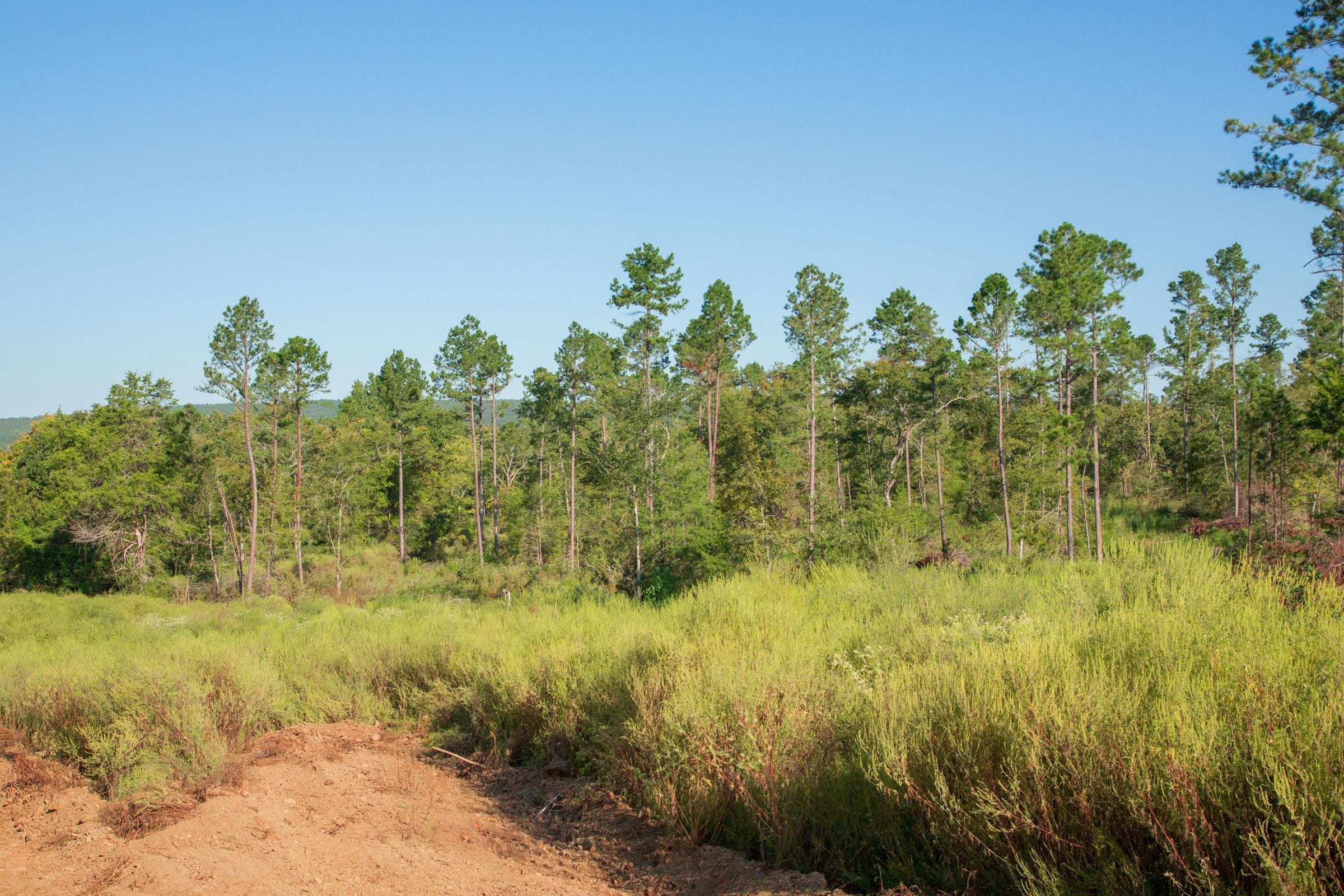 Stone Creek Phase II Tract 274 photo 5