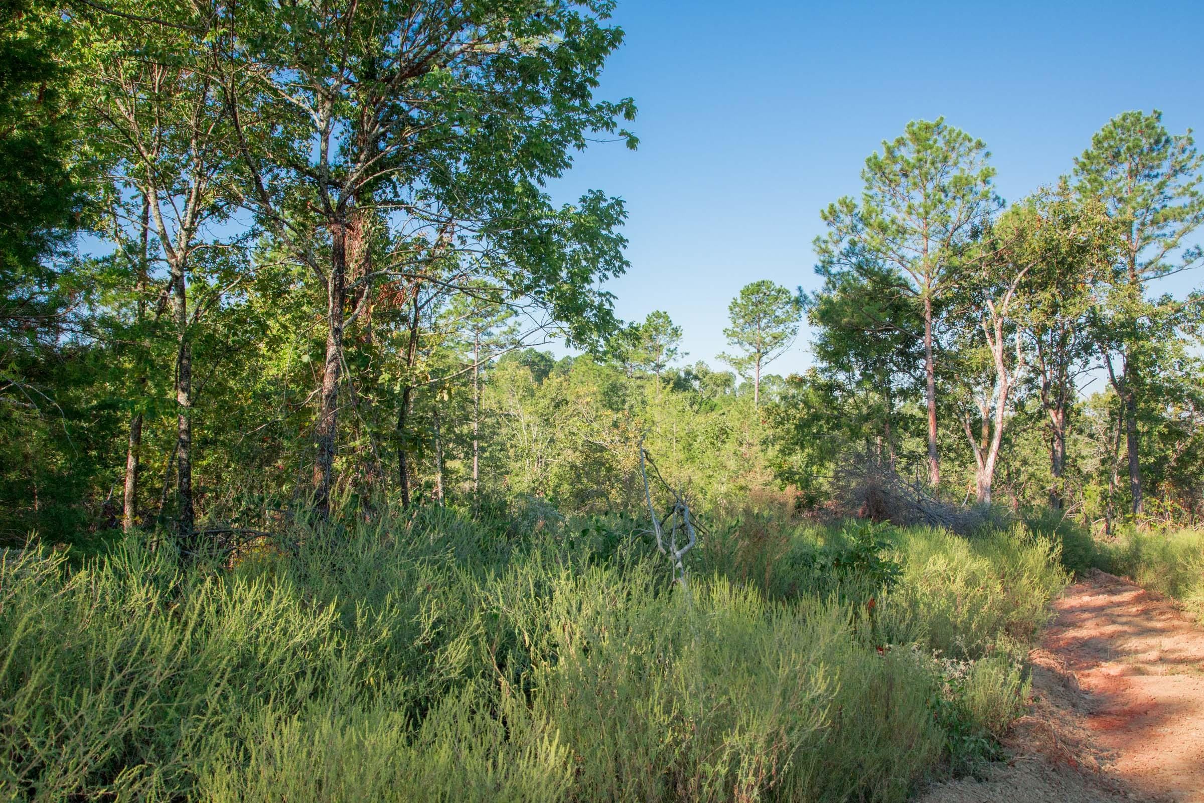 Stone Creek Phase II Tract 274 photo 6