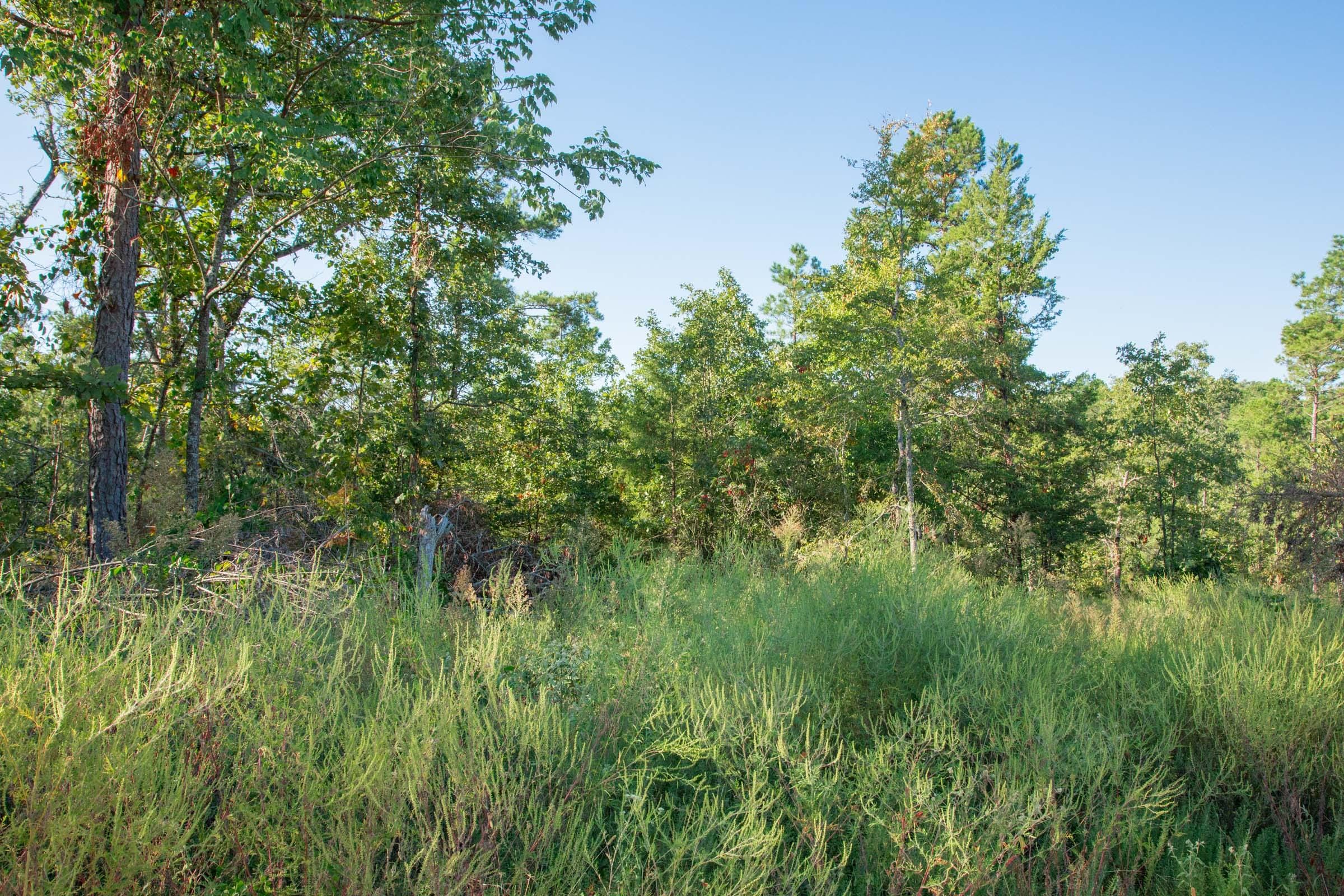 Stone Creek Phase II Tract 274 photo 7