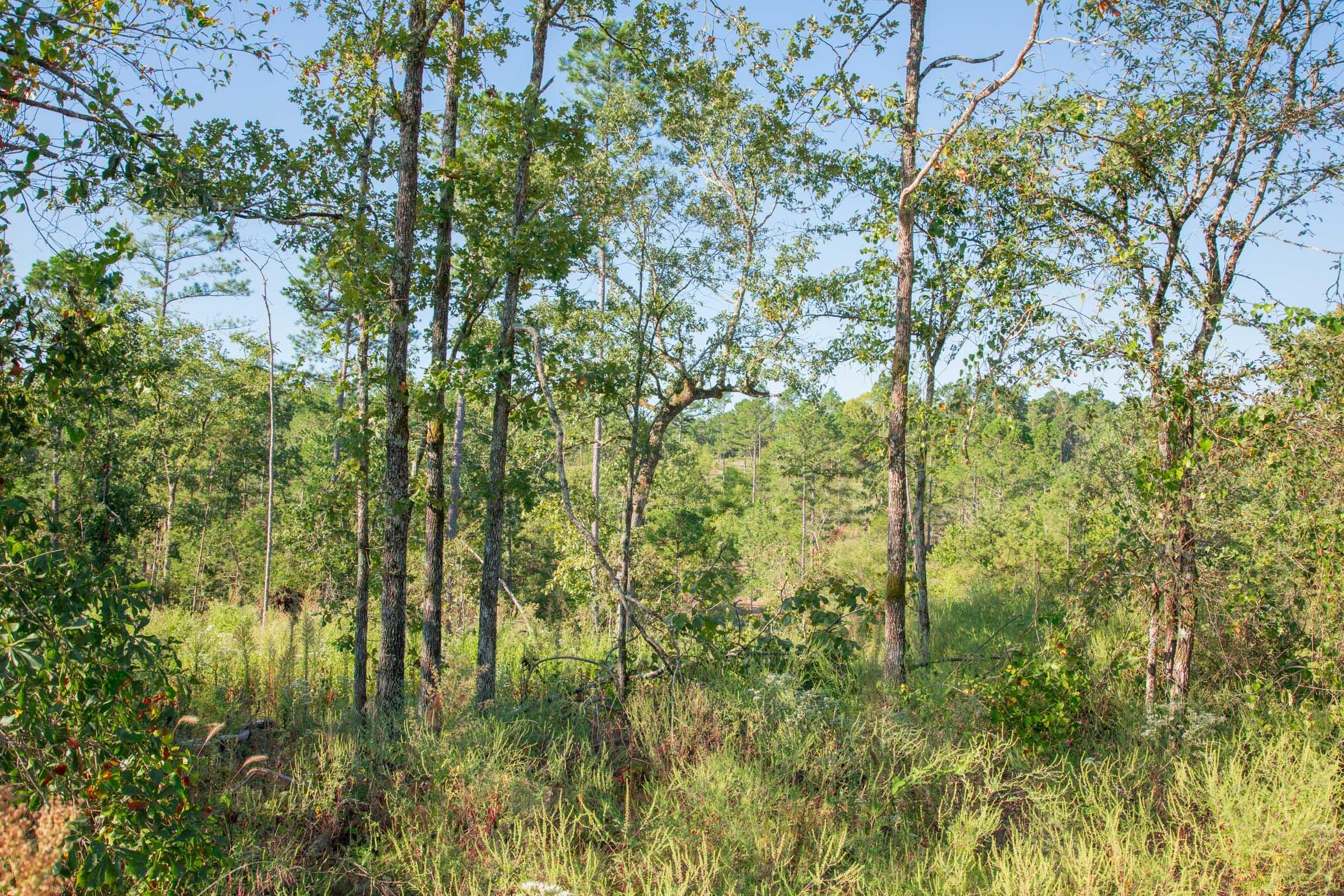Stone Creek Phase II Tract 274 photo 9