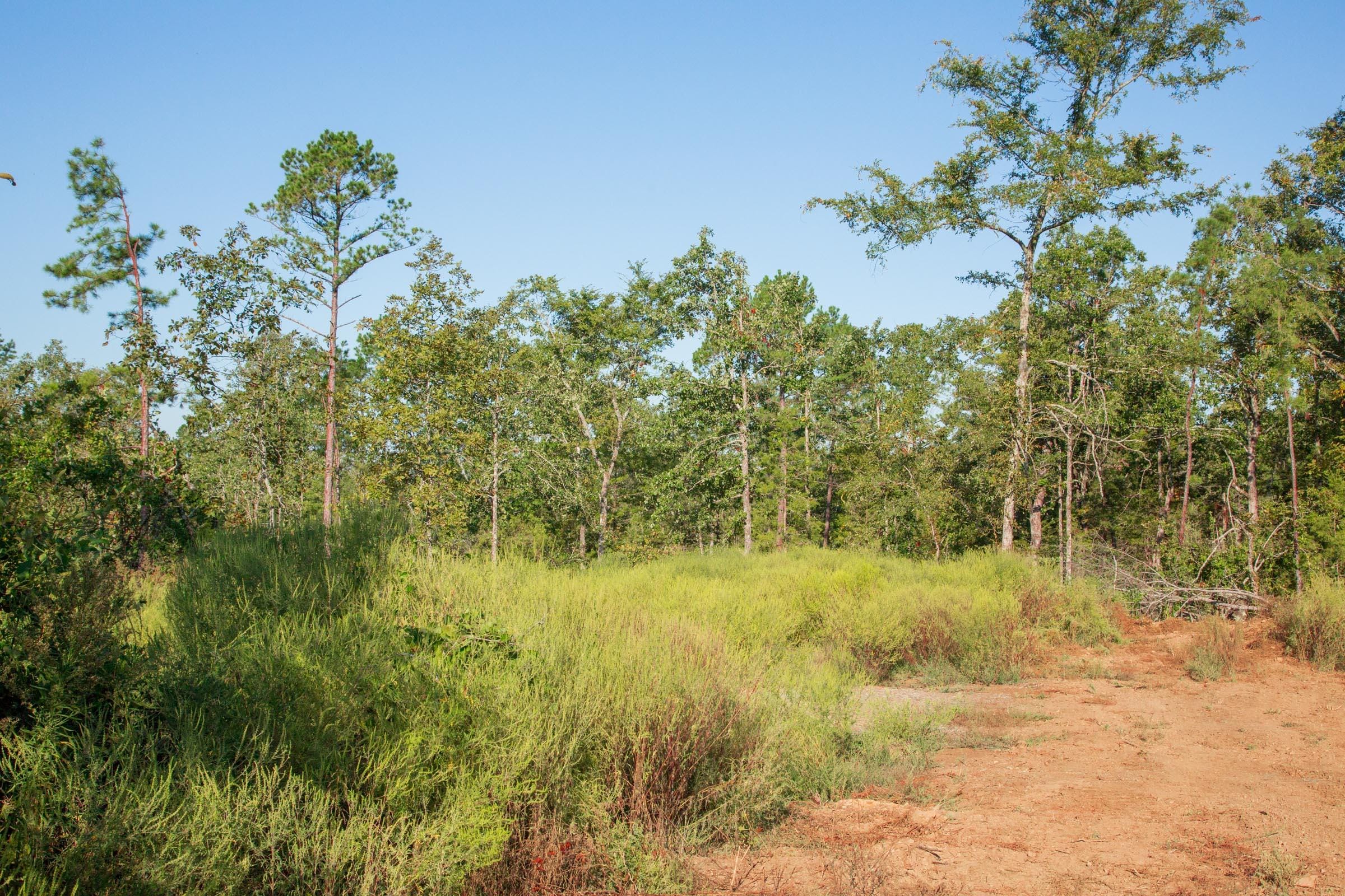 Stone Creek Phase II Tract 274 photo 10