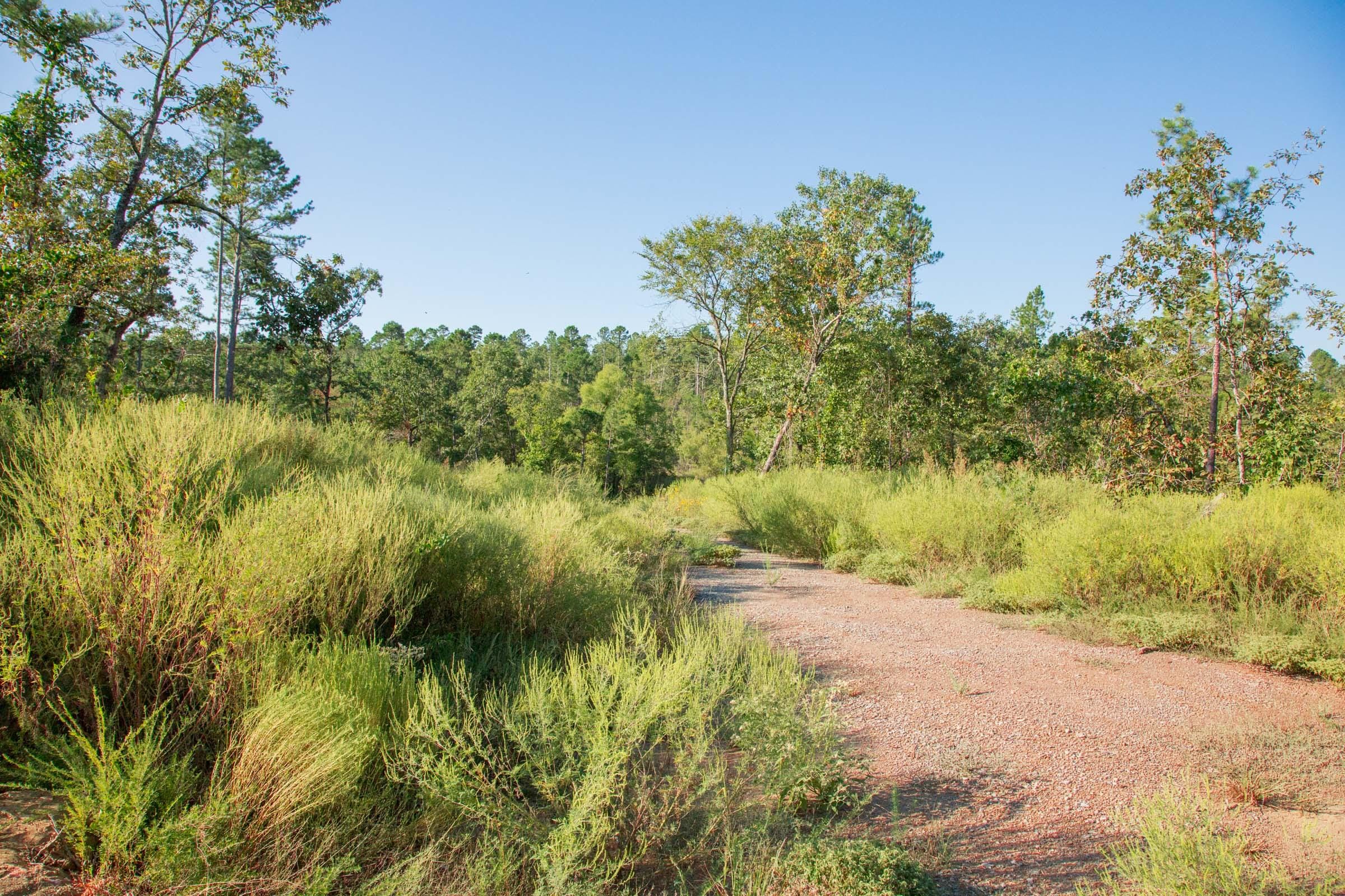 Stone Creek Phase II Tract 274 photo 11