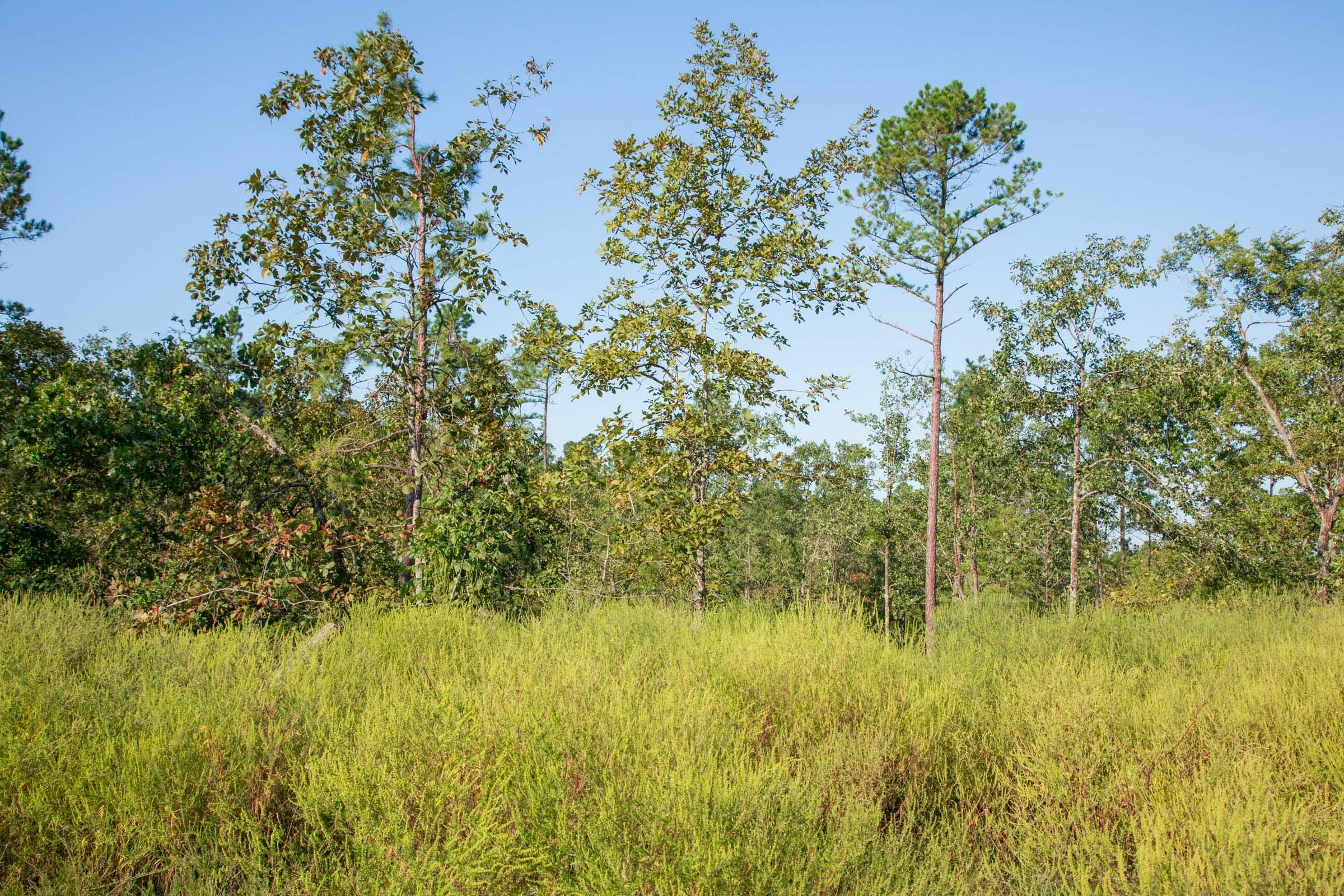 Stone Creek Phase II Tract 274 photo 12