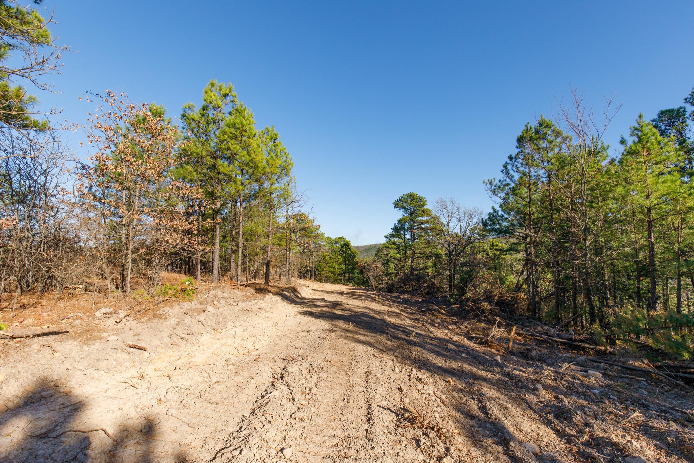 Stone Bridge Phase II Tract 93 photo 2