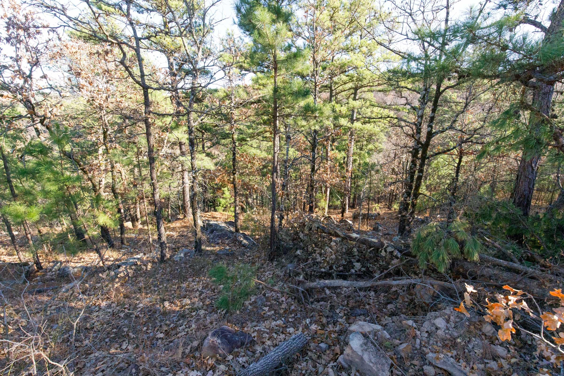 Stone Bridge Phase II Tract 93 photo 3