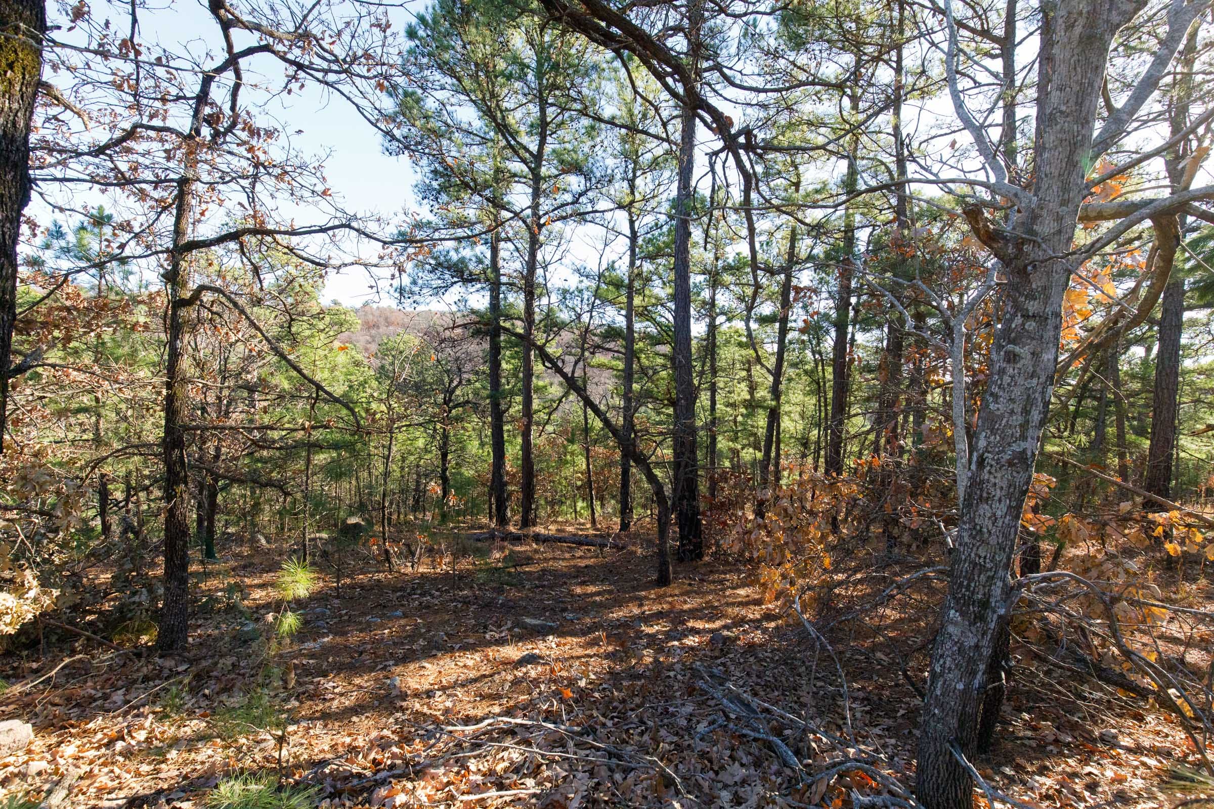 Stone Bridge Phase II Tract 93 photo 4