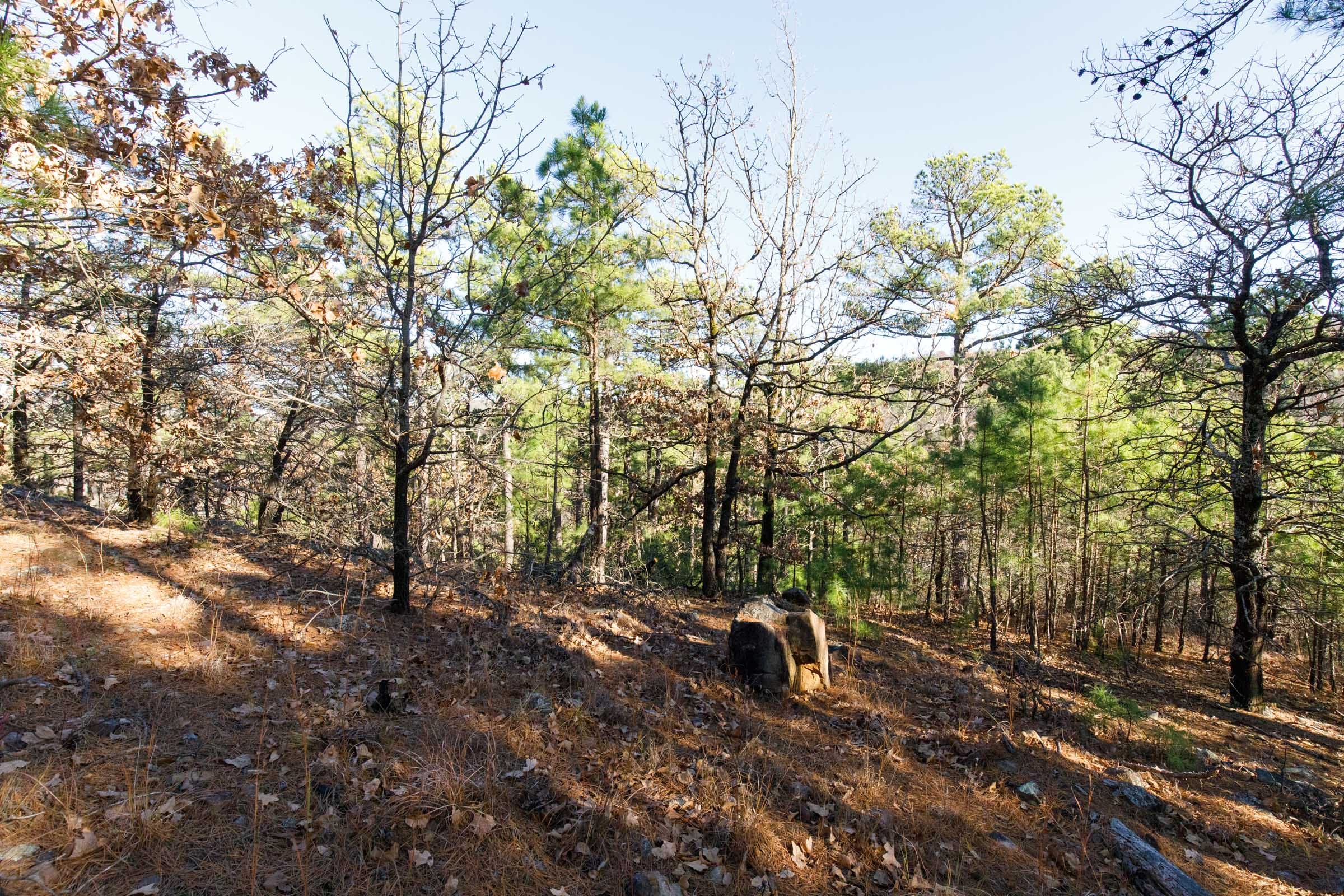 Stone Bridge Phase II Tract 93 photo 5