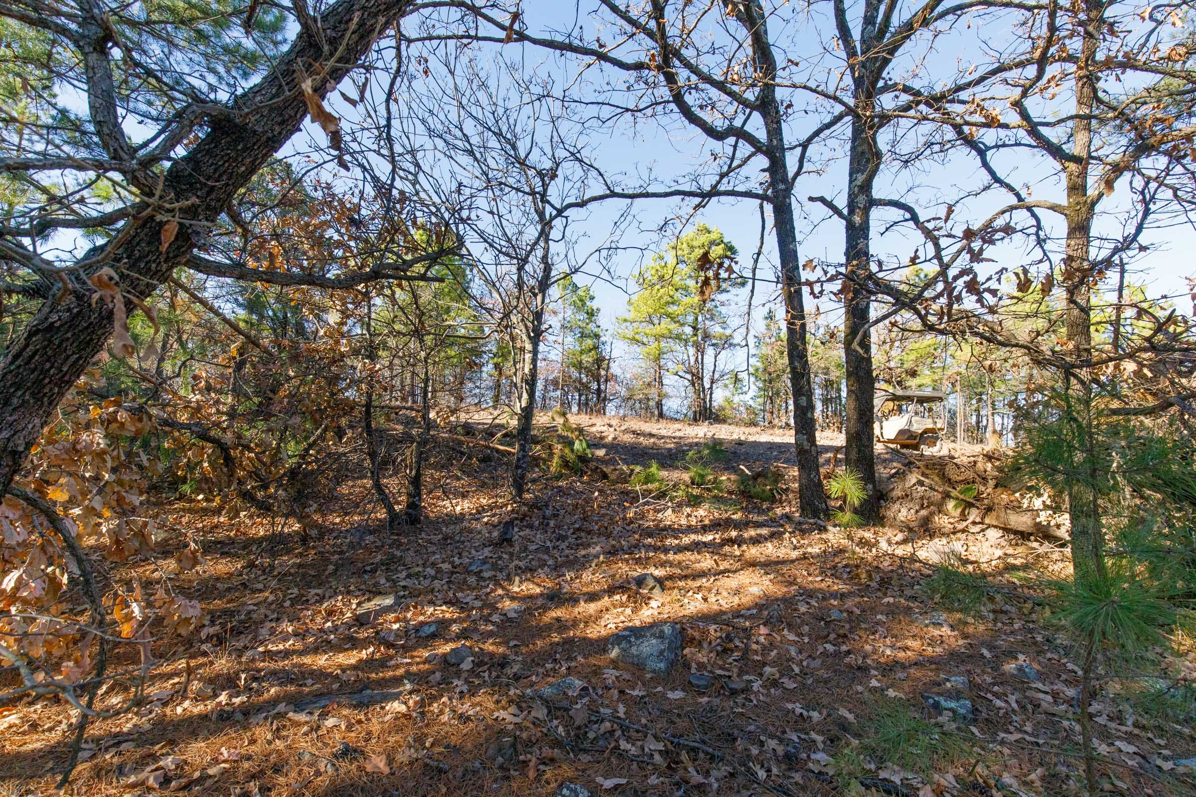 Stone Bridge Phase II Tract 93 photo 6