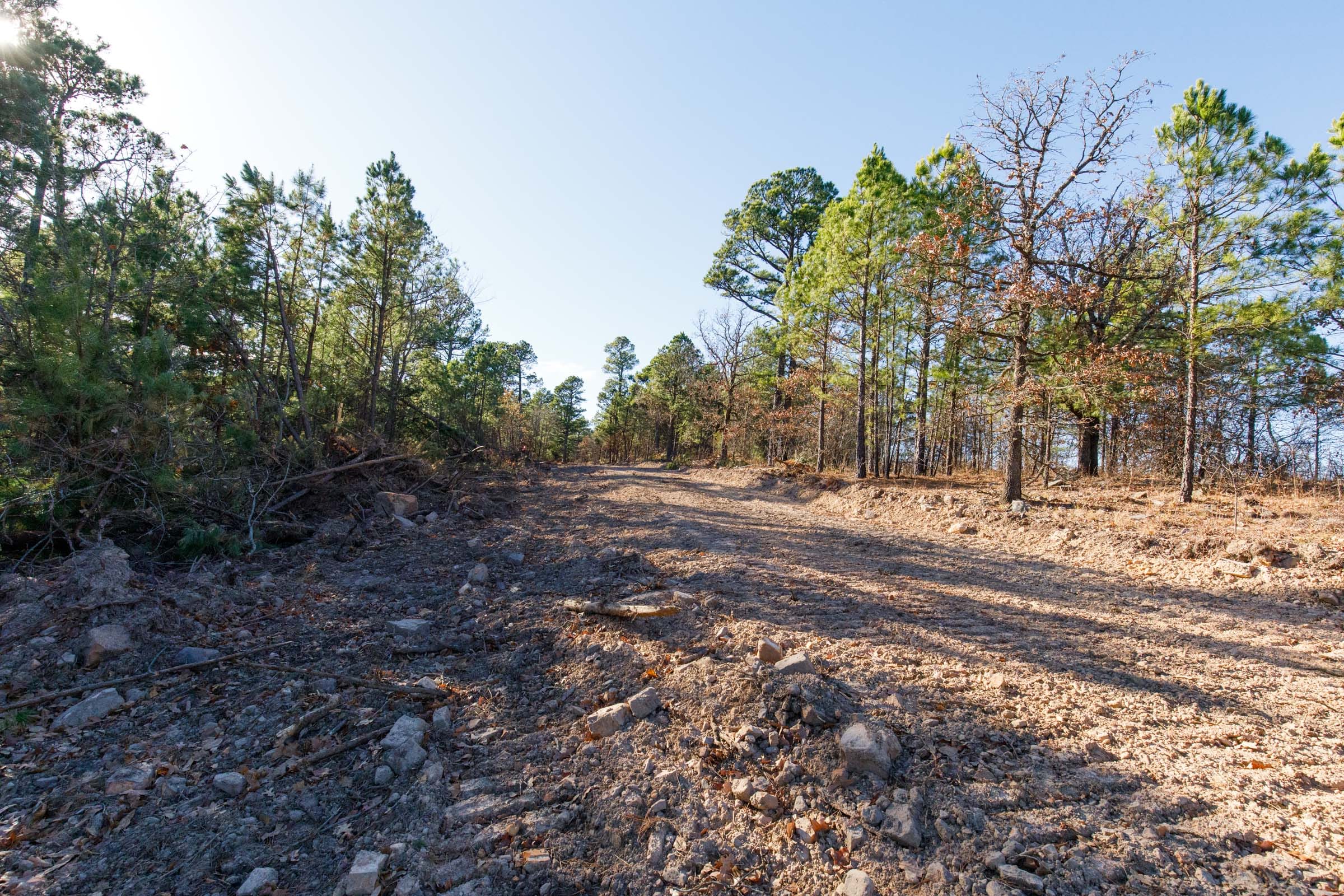 Stone Bridge Phase II Tract 93 photo 7