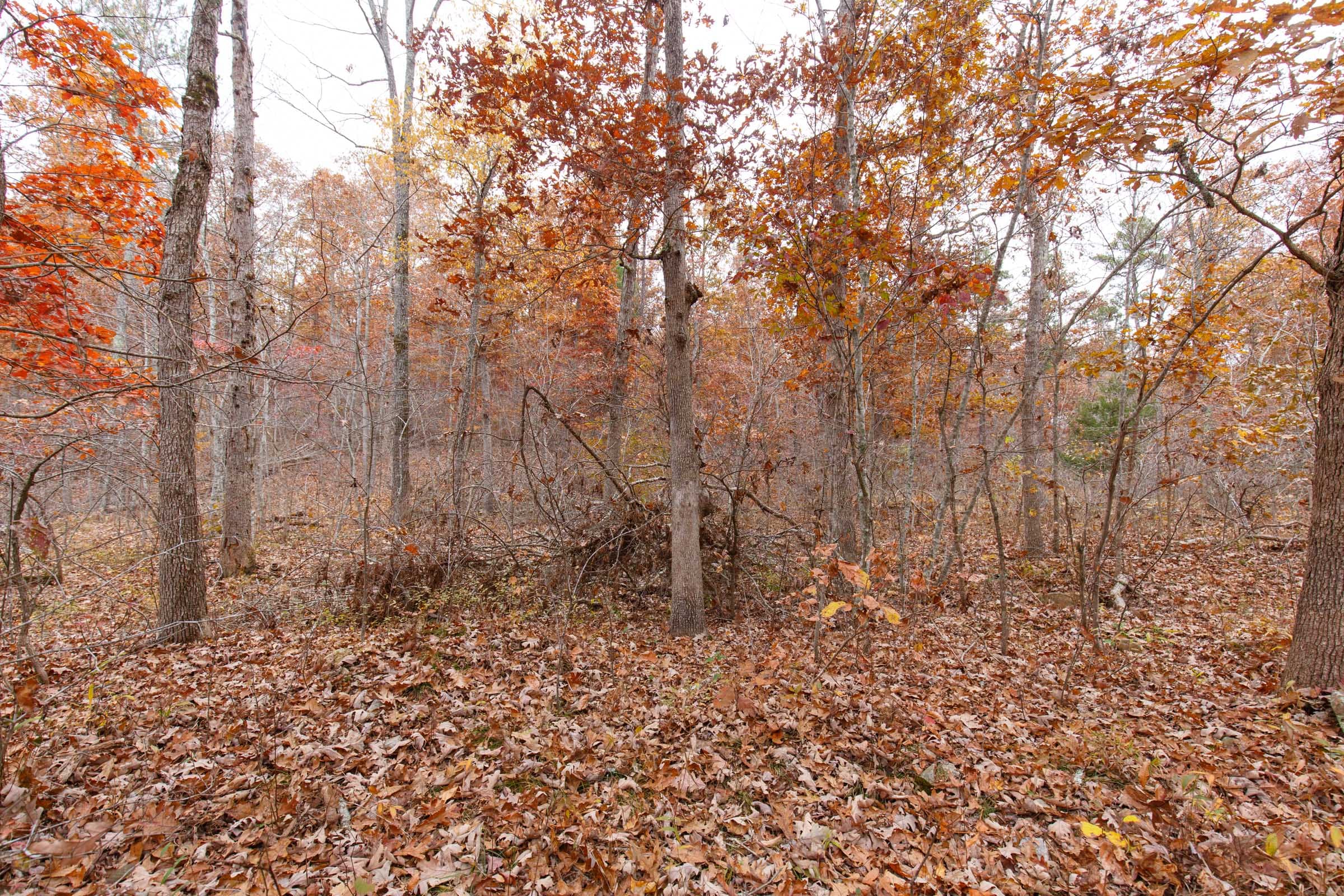 Hawkcrest Tract 25 photo 9