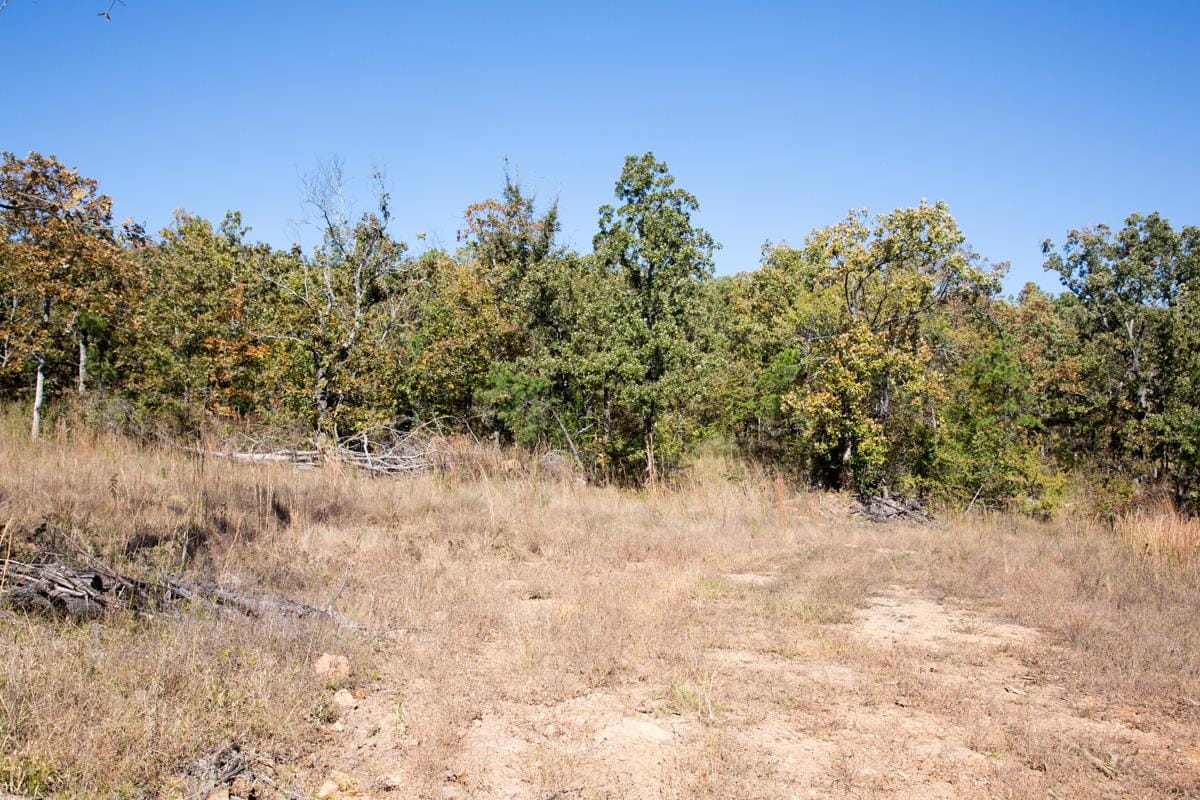 Stone Creek Phase I Tract 110 photo 2