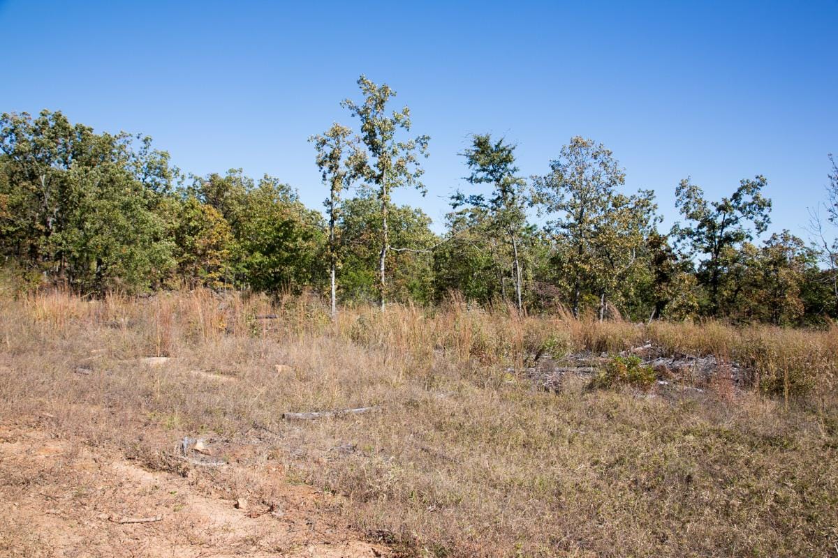 Stone Creek Phase I Tract 110 photo 3