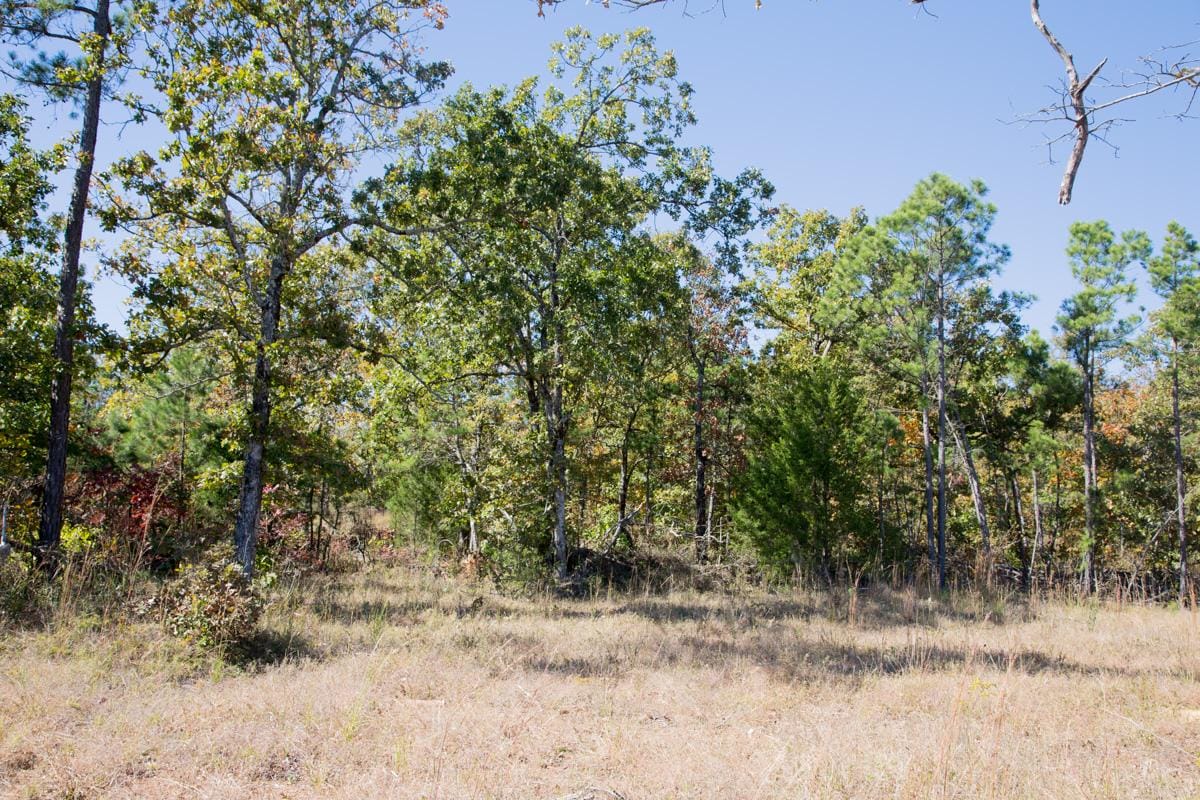 Stone Creek Phase I Tract 110 photo 5