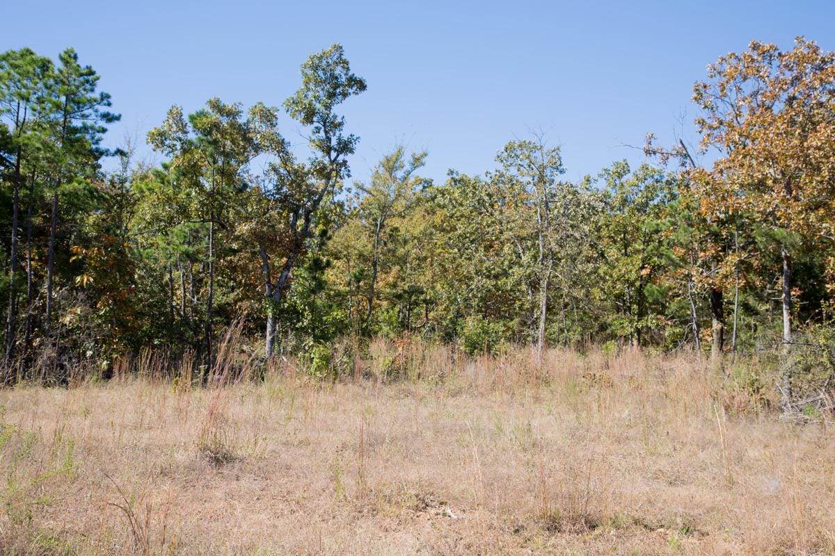Stone Creek Phase I Tract 110 photo 7
