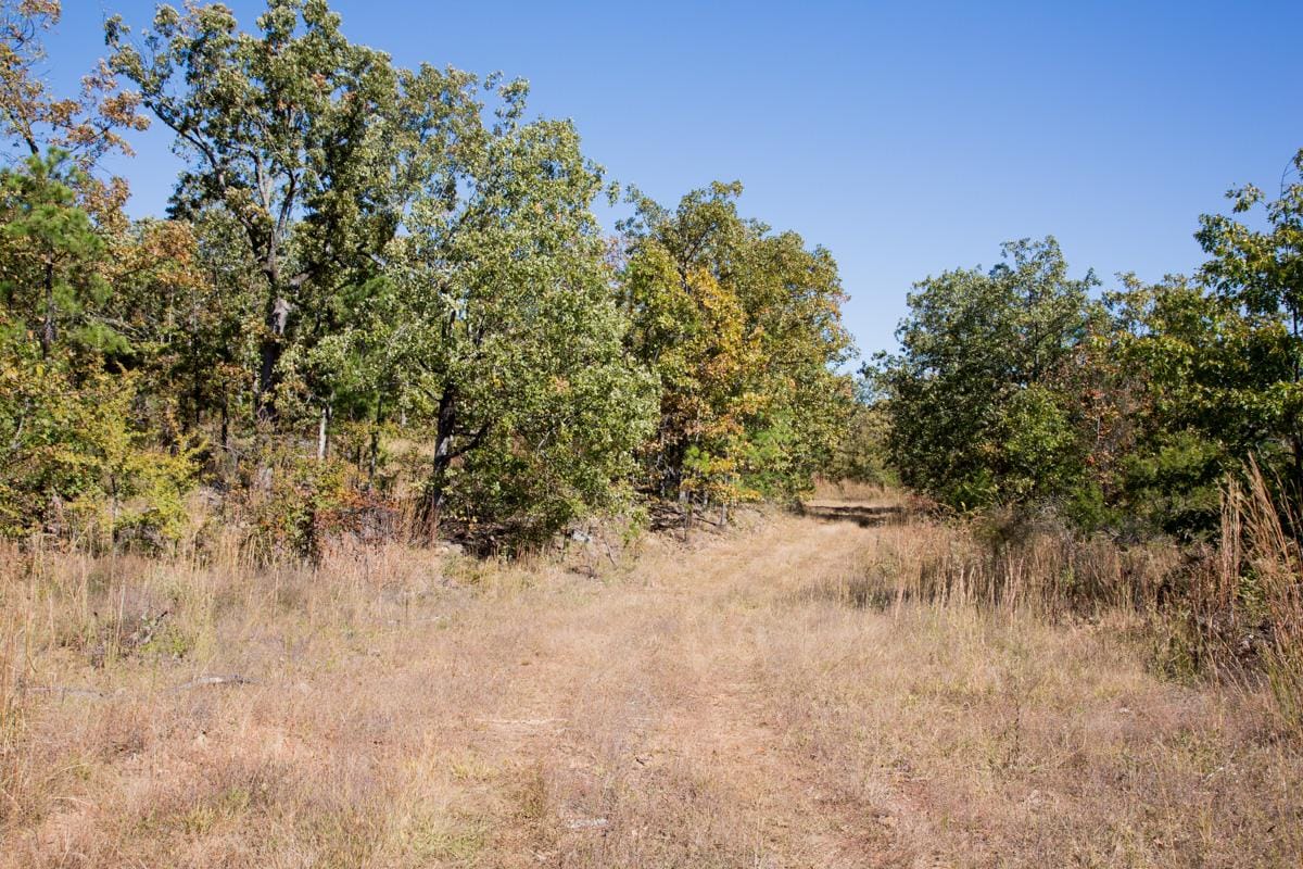Stone Creek Phase I Tract 110 photo 8