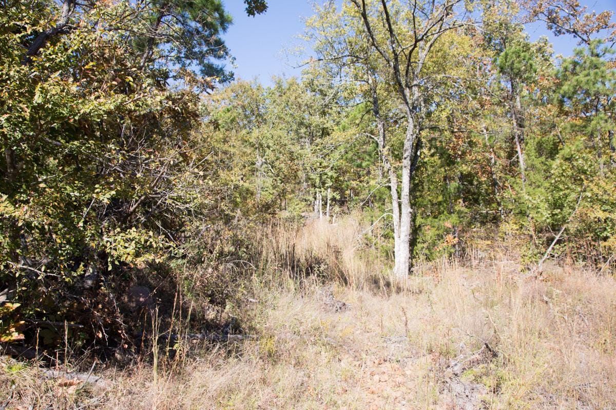 Stone Creek Phase I Tract 110 photo 9