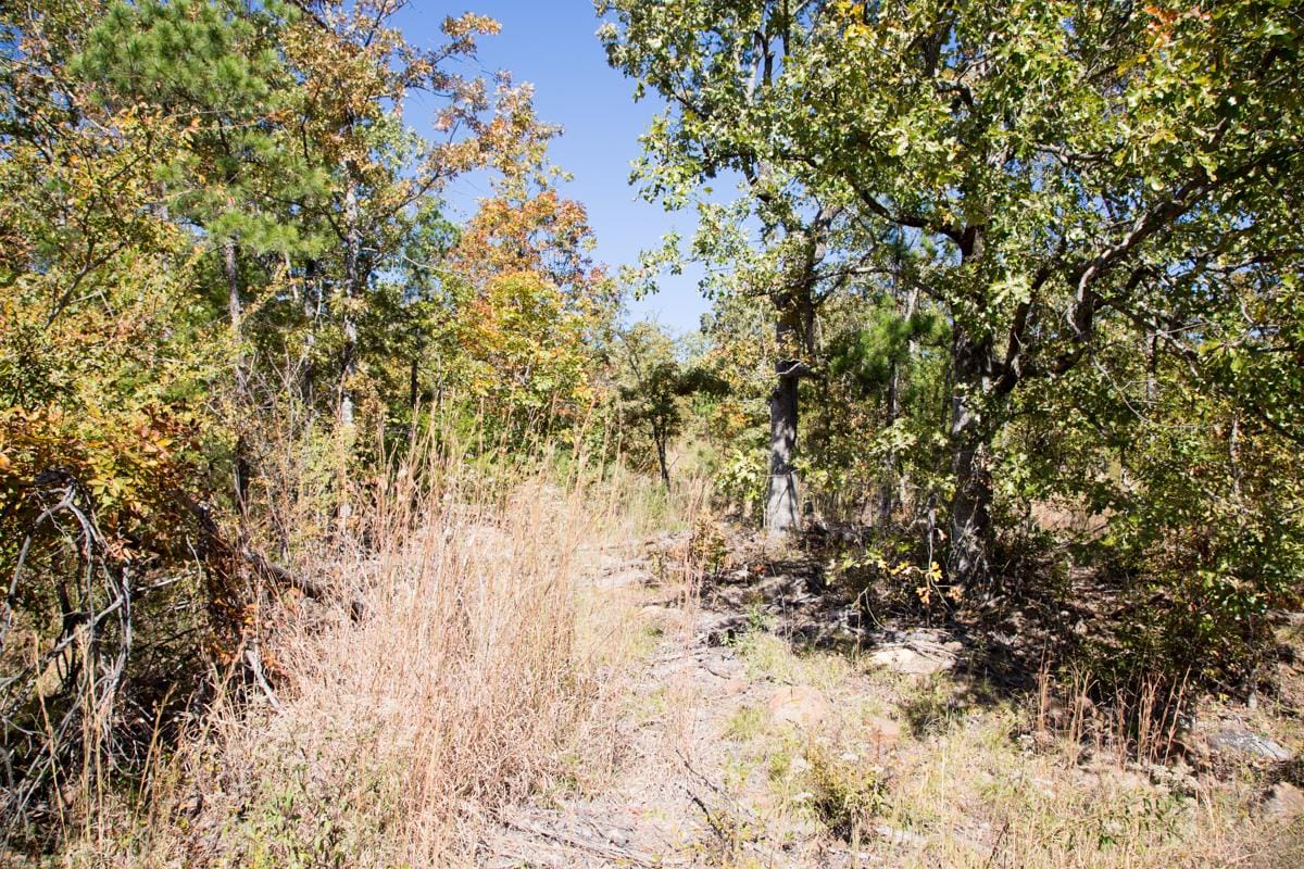 Stone Creek Phase I Tract 110 photo 10