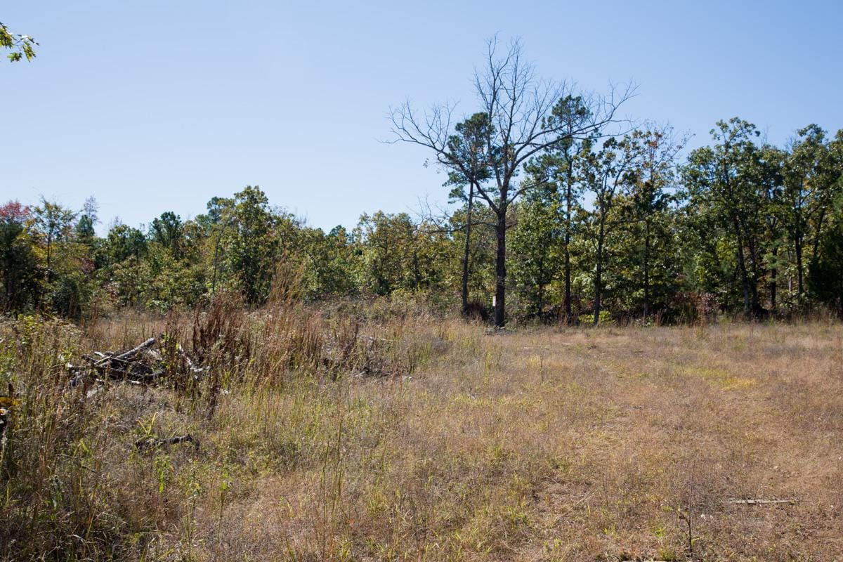 Stone Creek Phase I Tract 110 photo 11