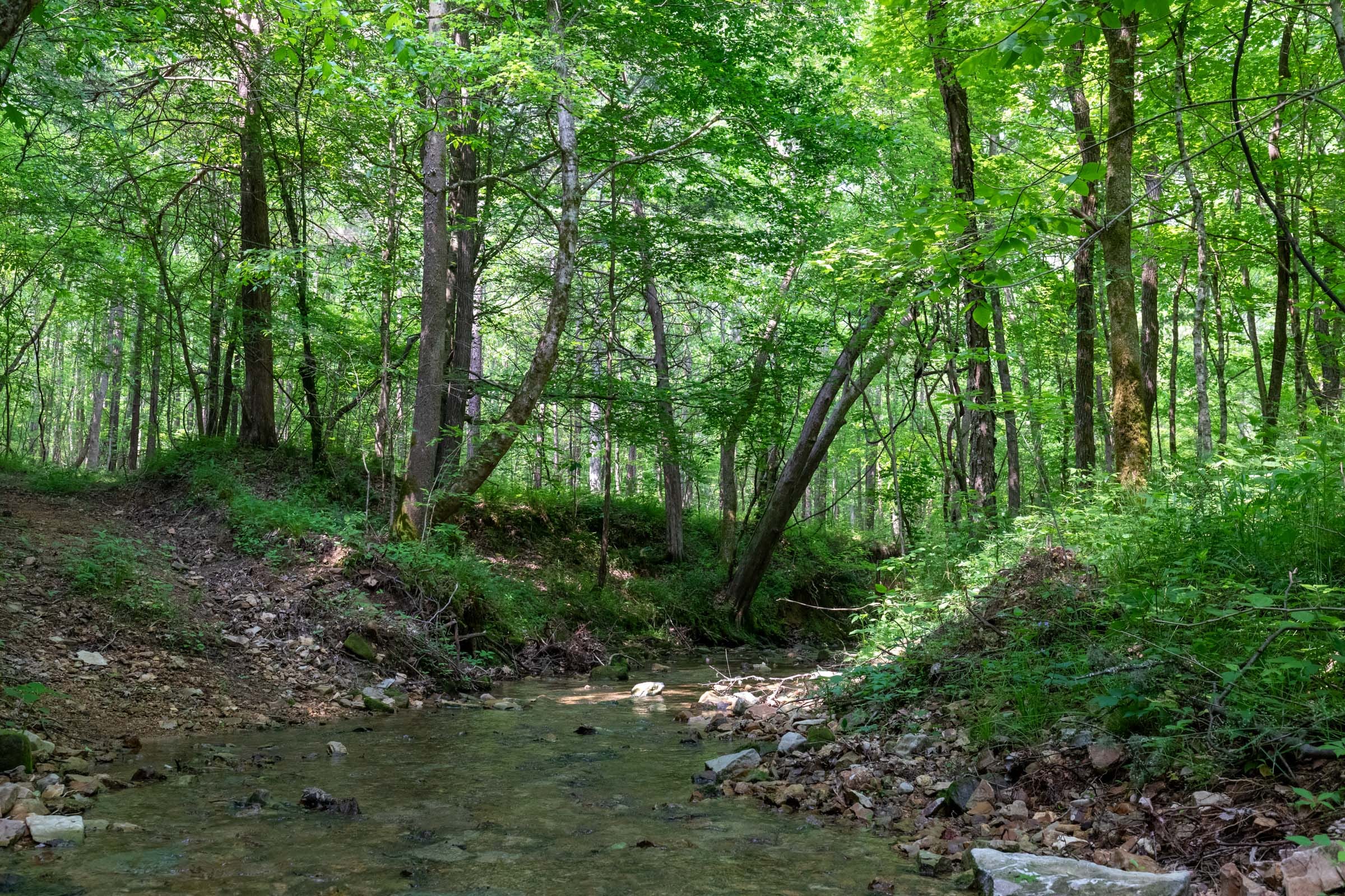 Cedar Creek Tract 47 photo 4