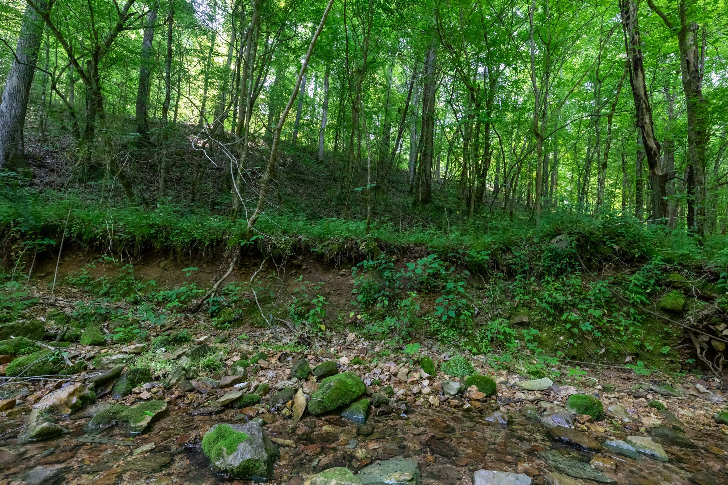 Cedar Creek Tract 47 photo 7