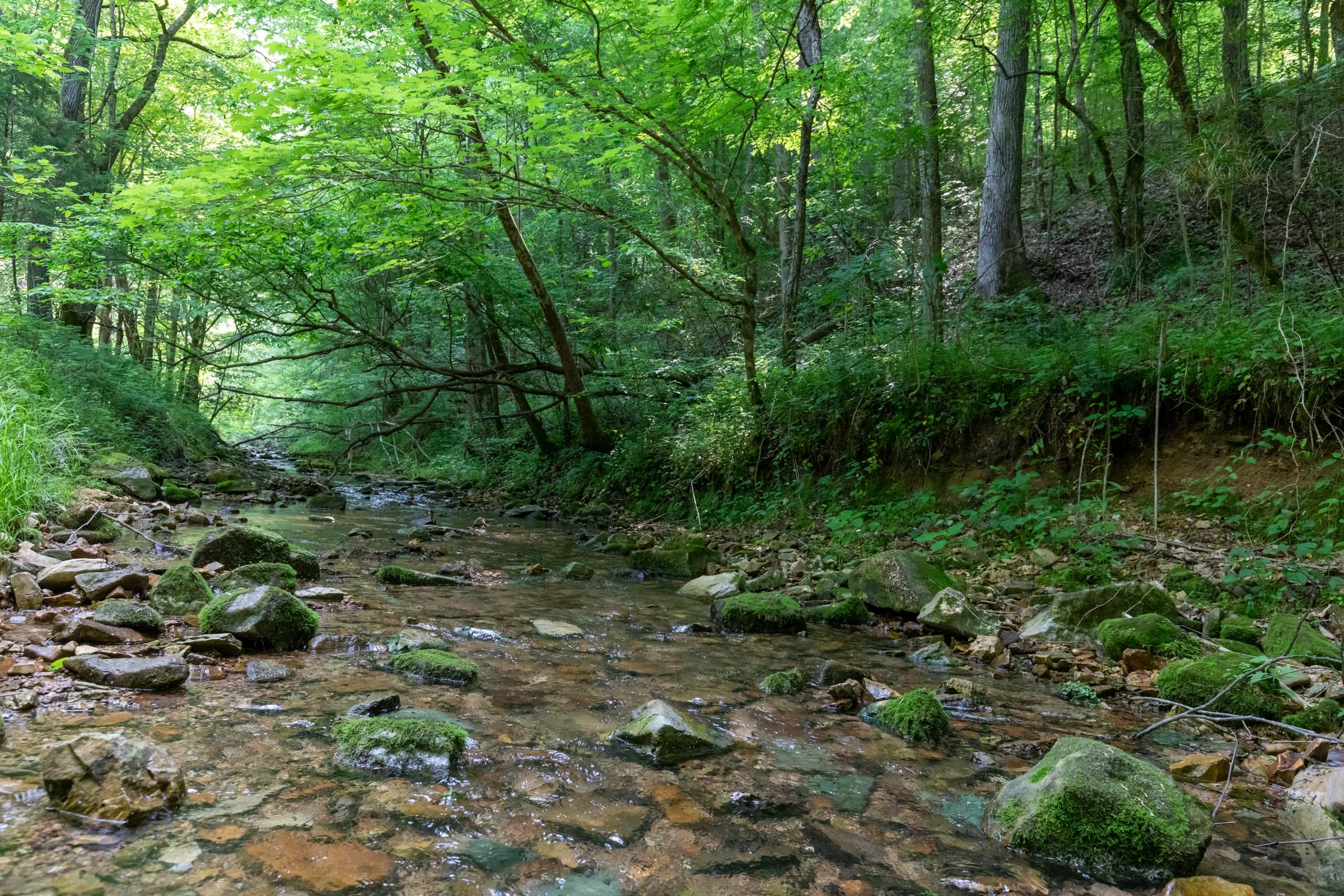 Cedar Creek Tract 47 photo 5