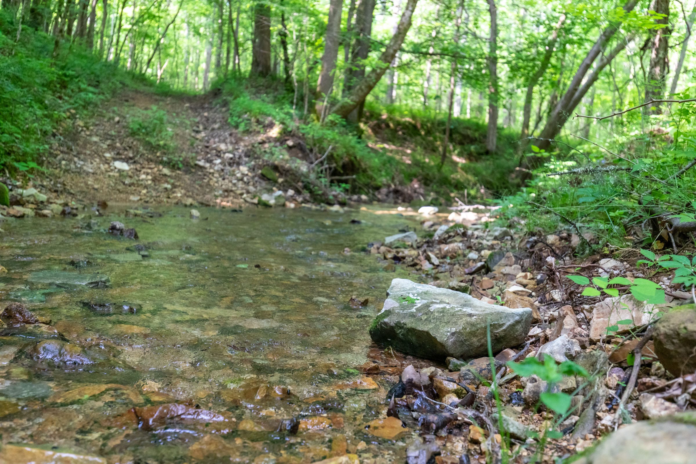 Cedar Creek Tract 47 photo 3