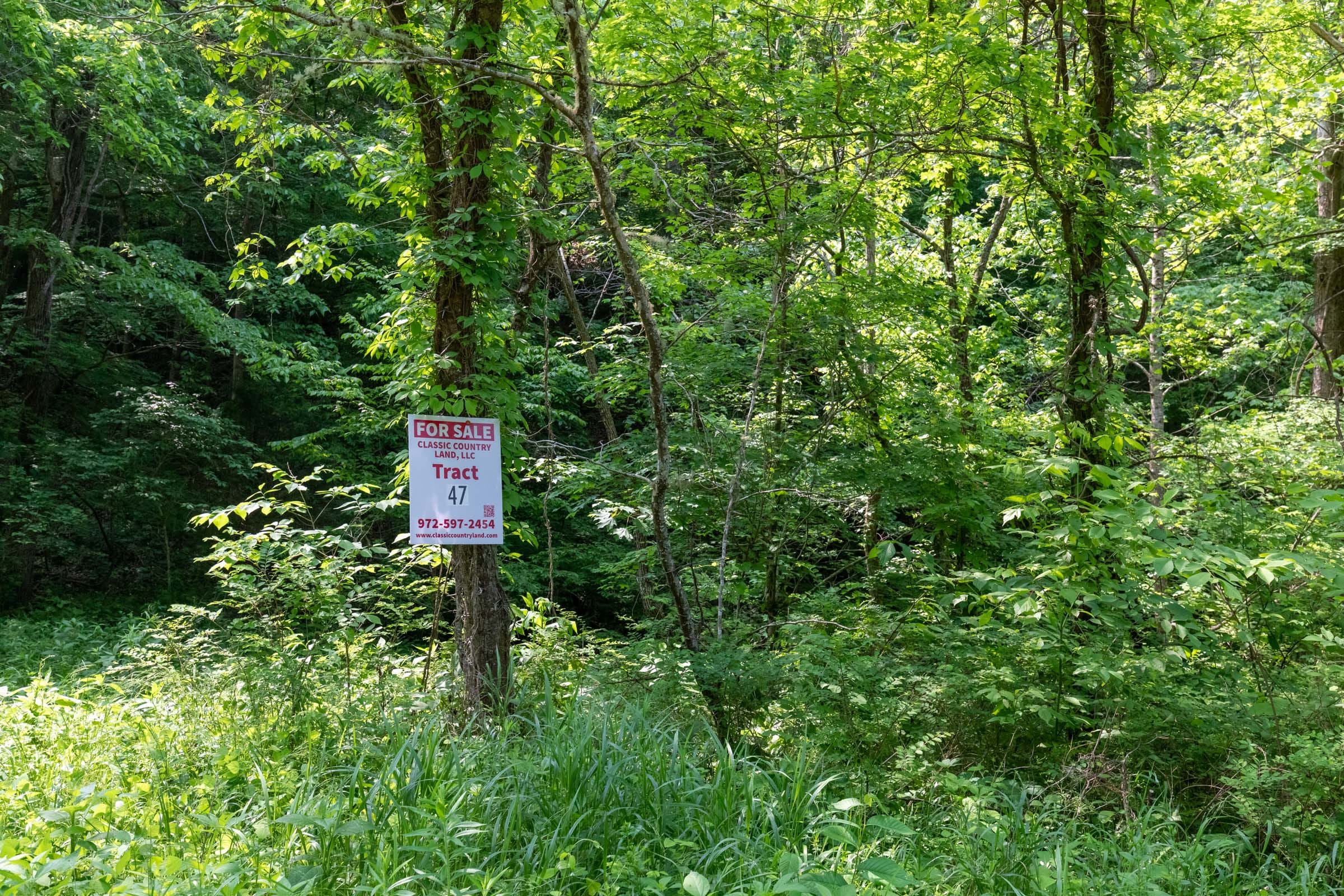 Cedar Creek Tract 47 photo 1