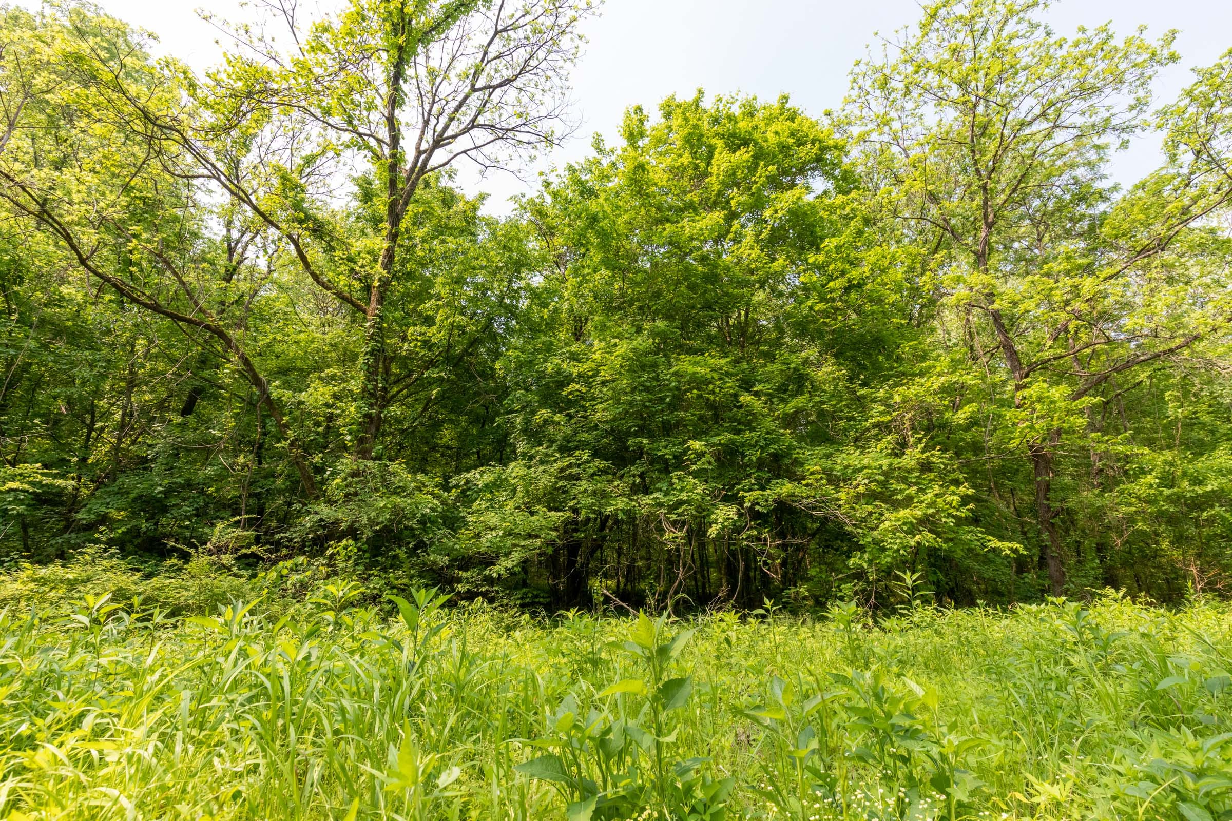 Cedar Creek Tract 47 photo 11
