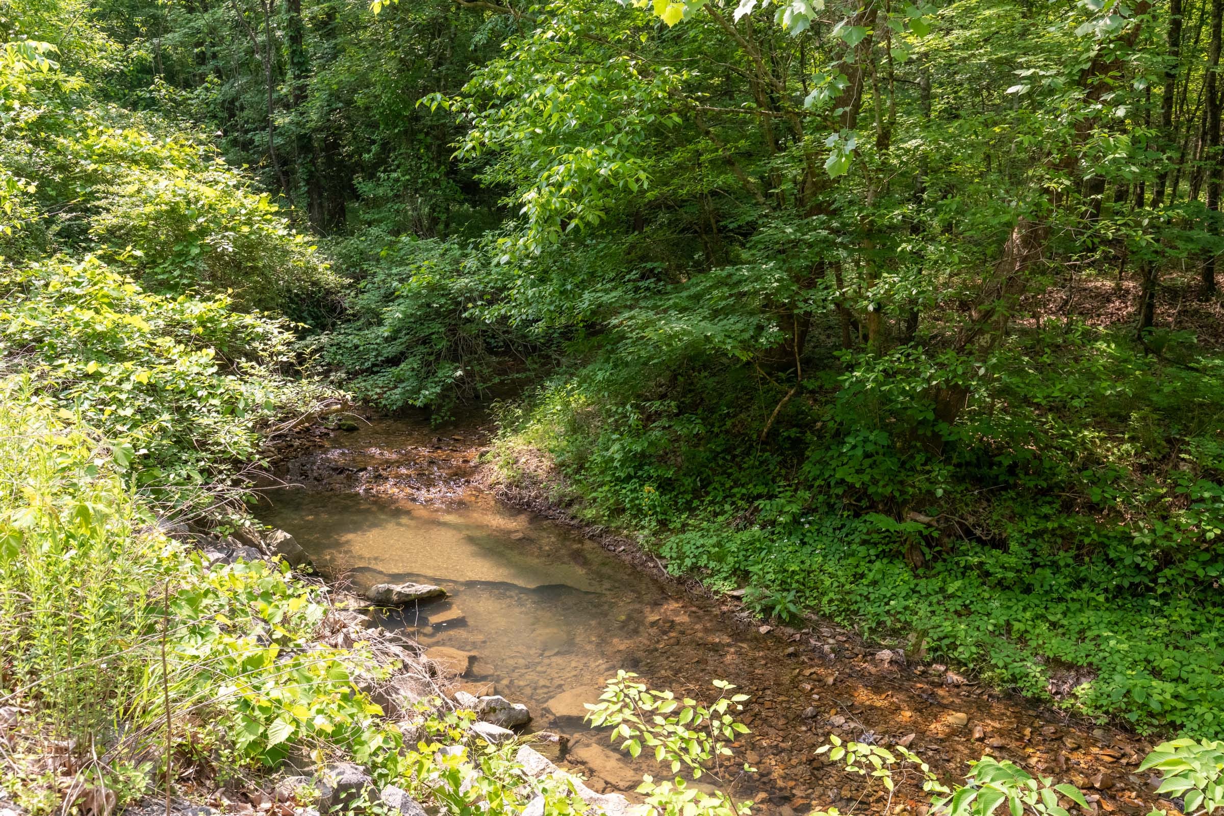 Cedar Creek Tract 47 photo 6