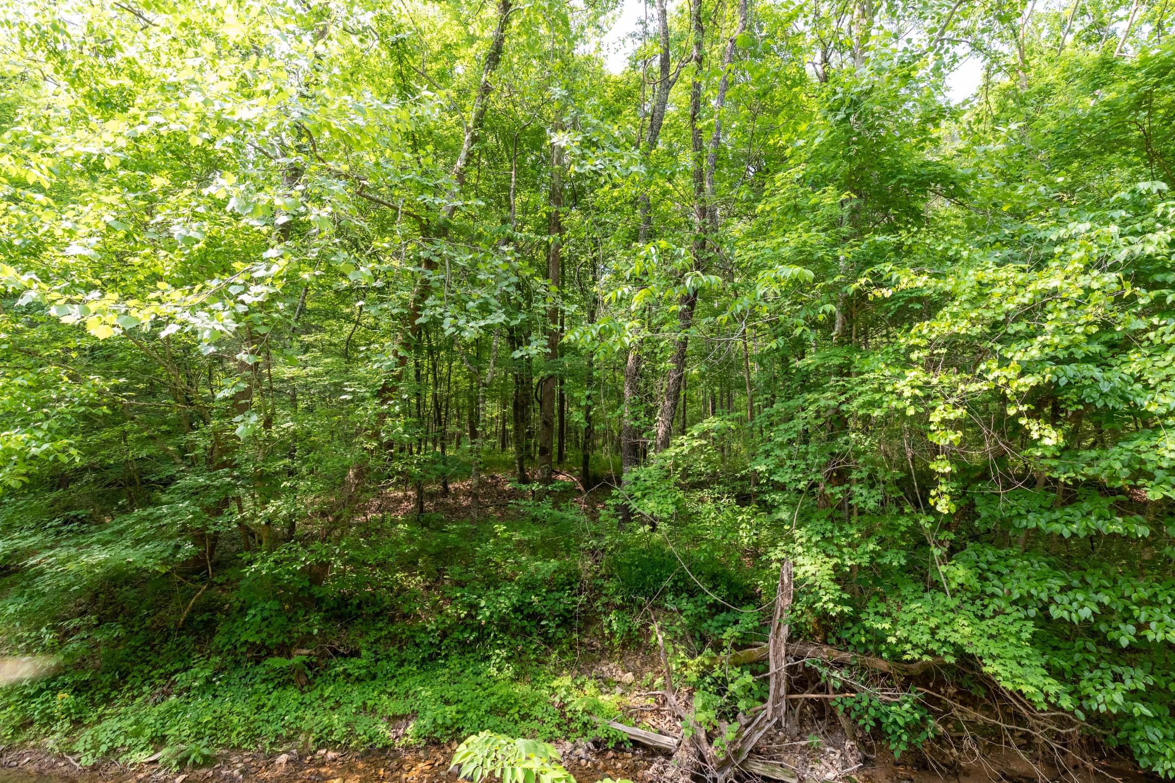 Cedar Creek Tract 47 photo 13