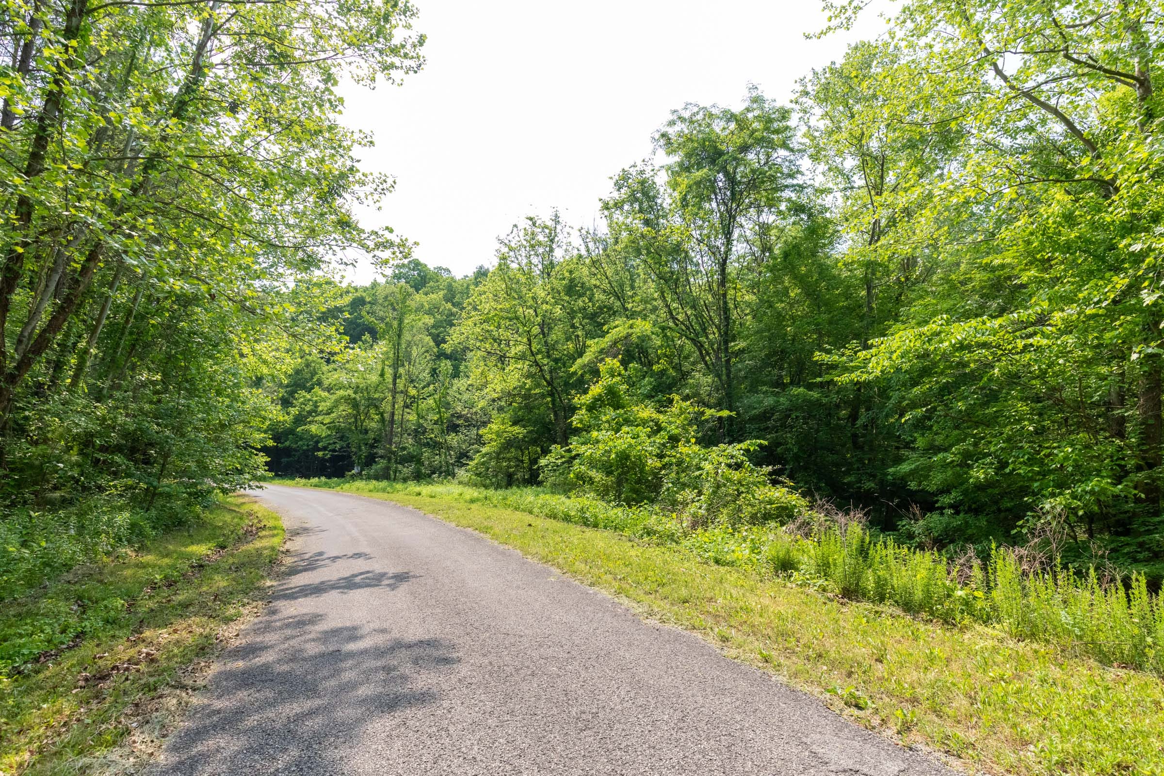 Cedar Creek Tract 47 photo 2