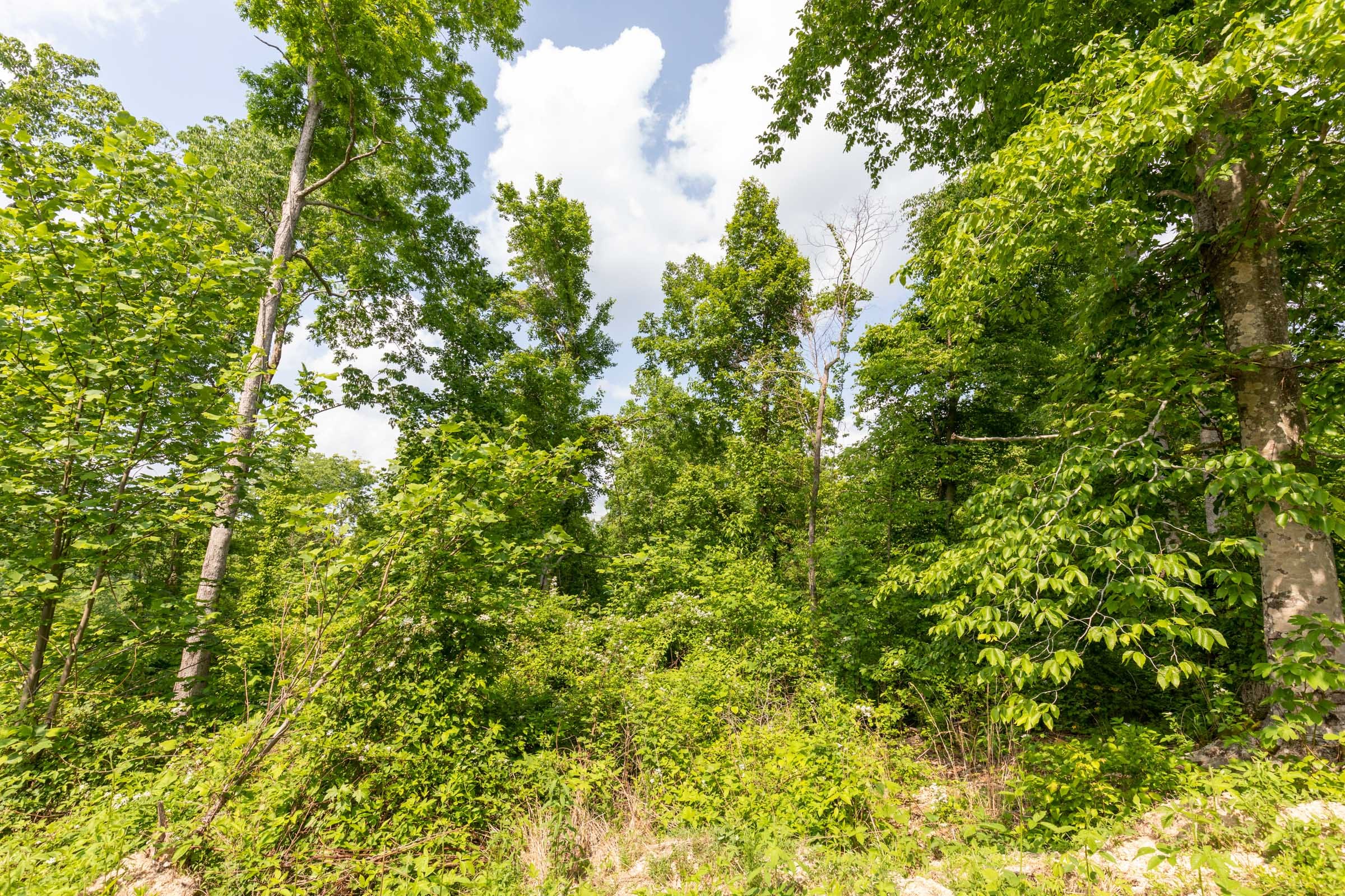 Cedar Creek Tract 47 photo 15