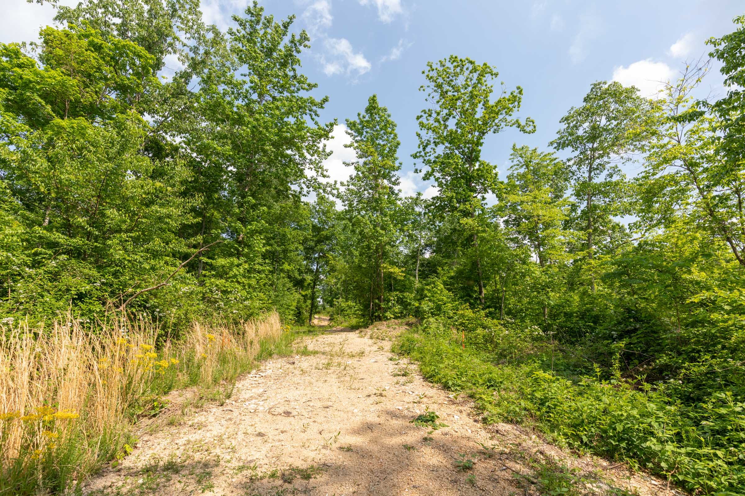 Cedar Creek Tract 47 photo 9