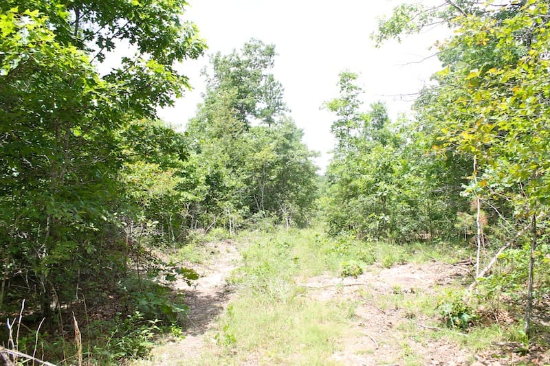 Green Mountain Ranch Tract 42 photo 3