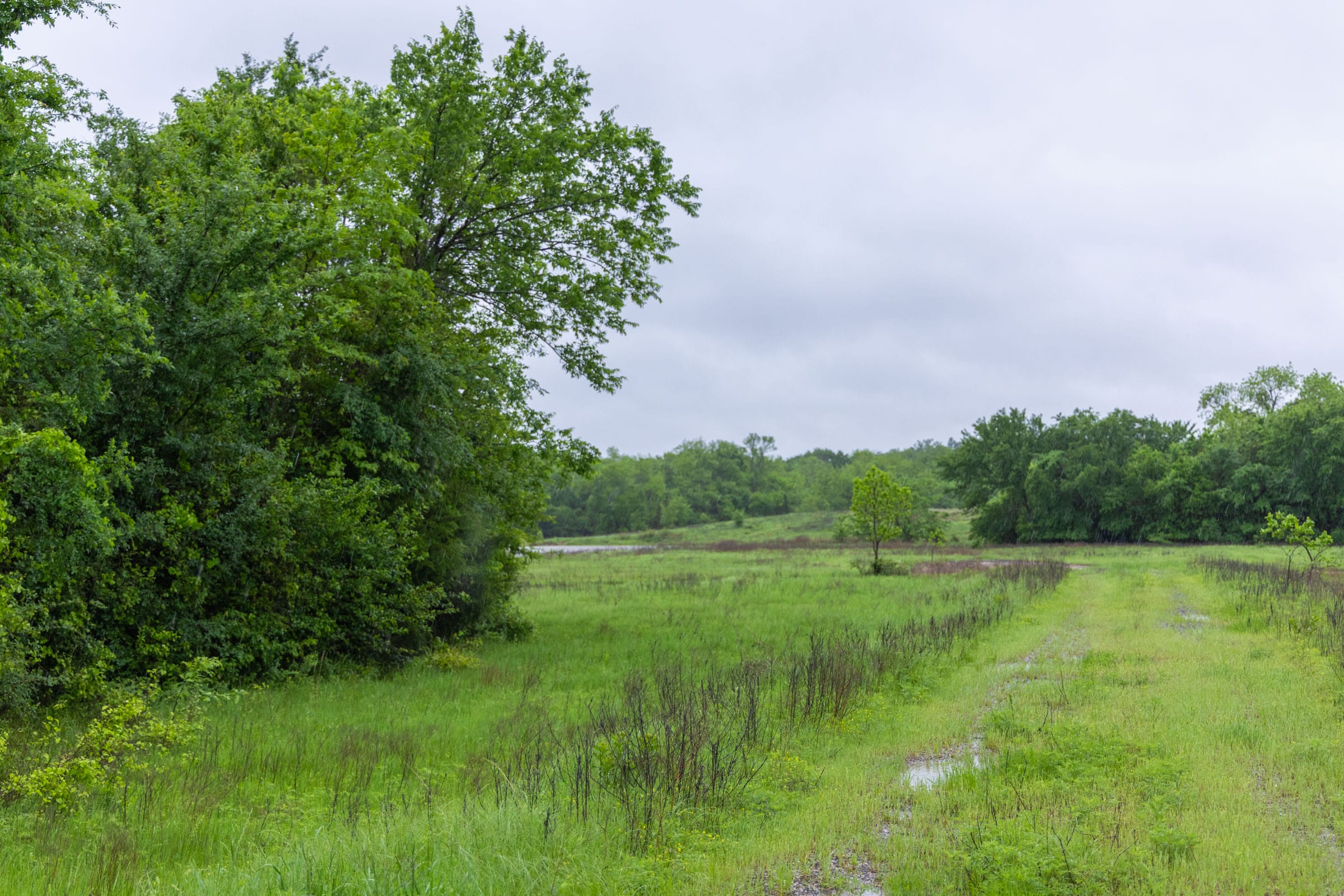 Harmony Hills Tract 20 photo 5