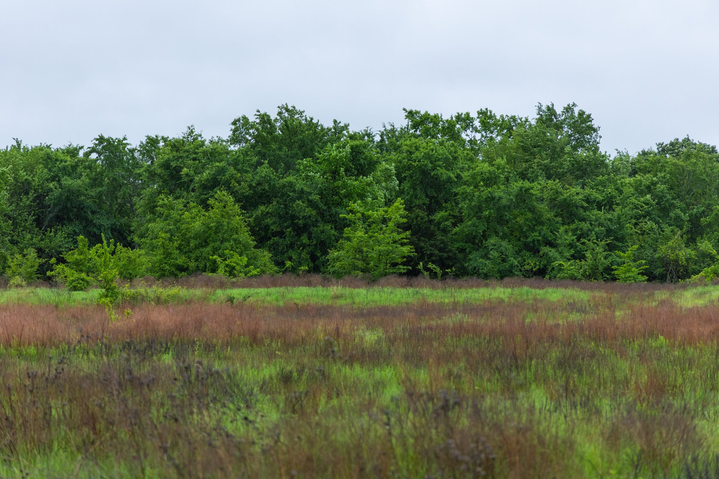 Harmony Hills Tract 20 photo 13