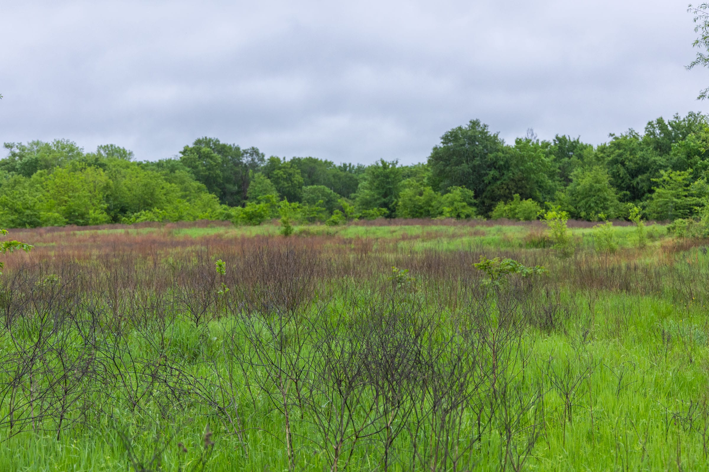 Harmony Hills Tract 20 photo 11