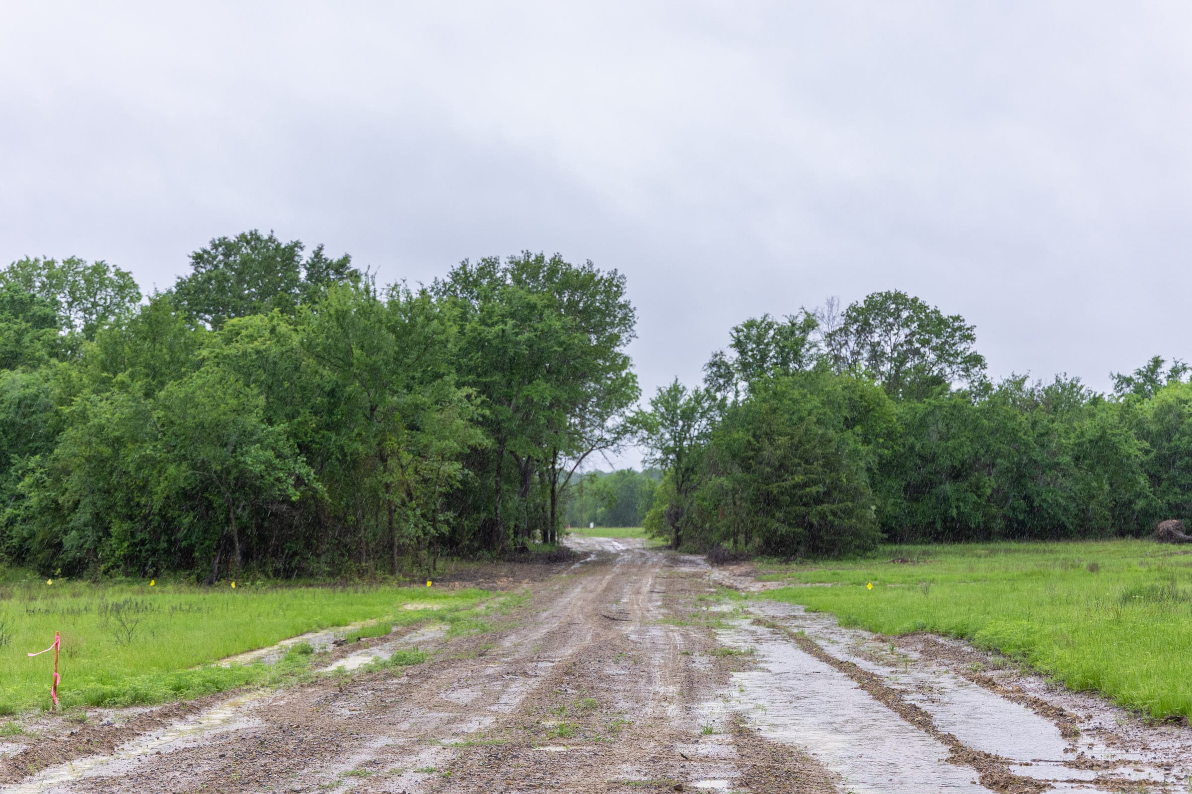 Harmony Hills Tract 20 photo 3