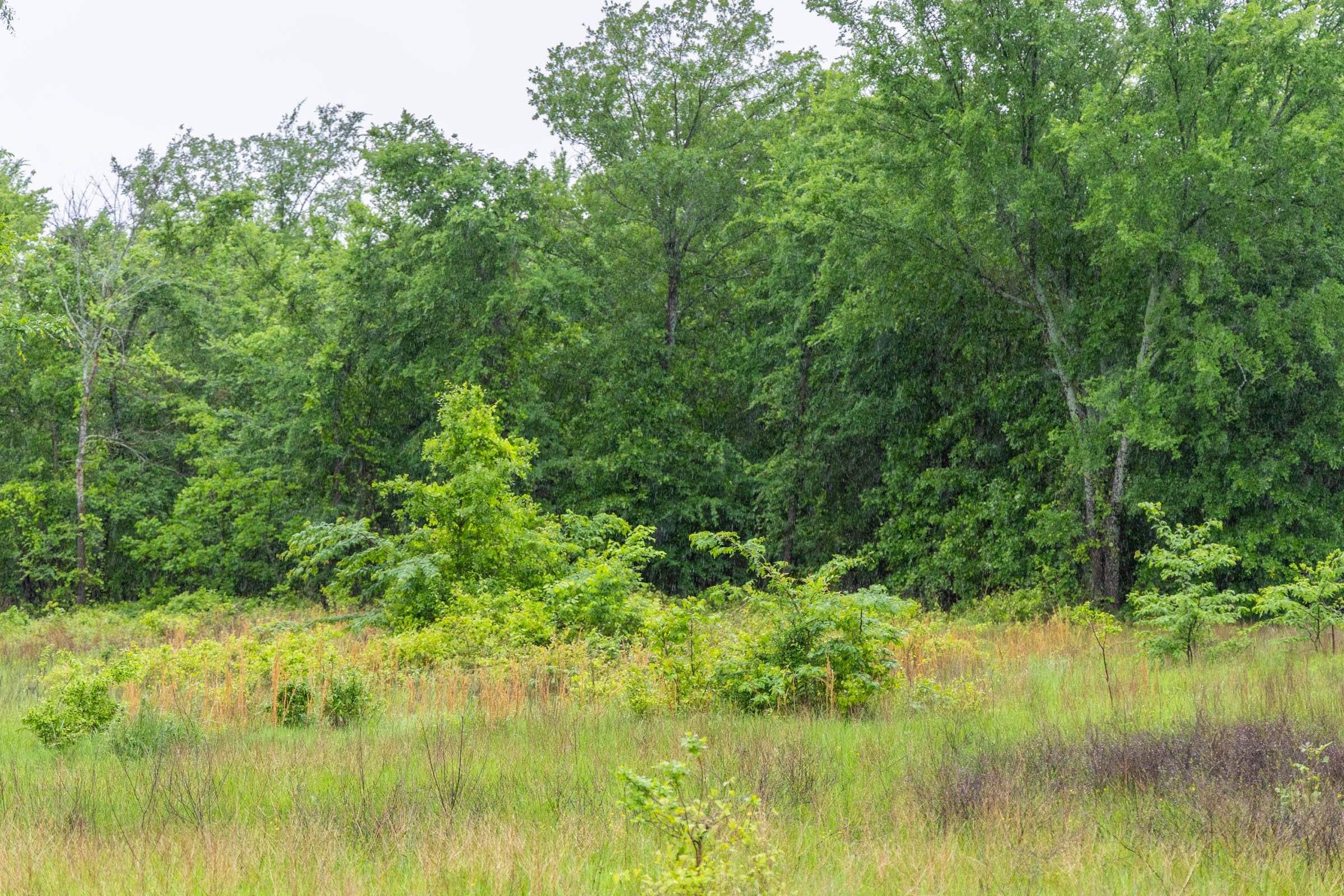 Harmony Hills Tract 20 photo 6