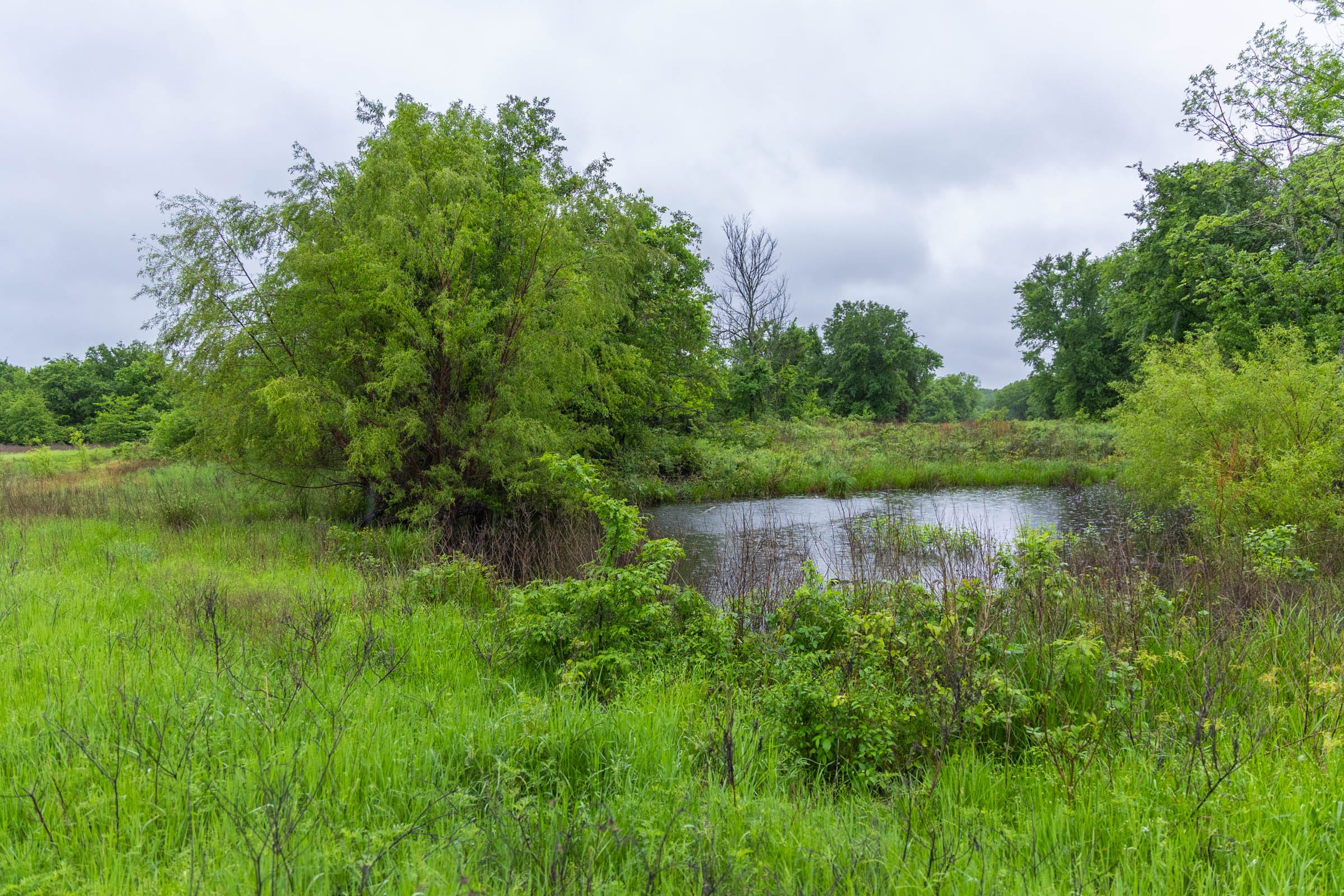 Harmony Hills Tract 20 photo 10