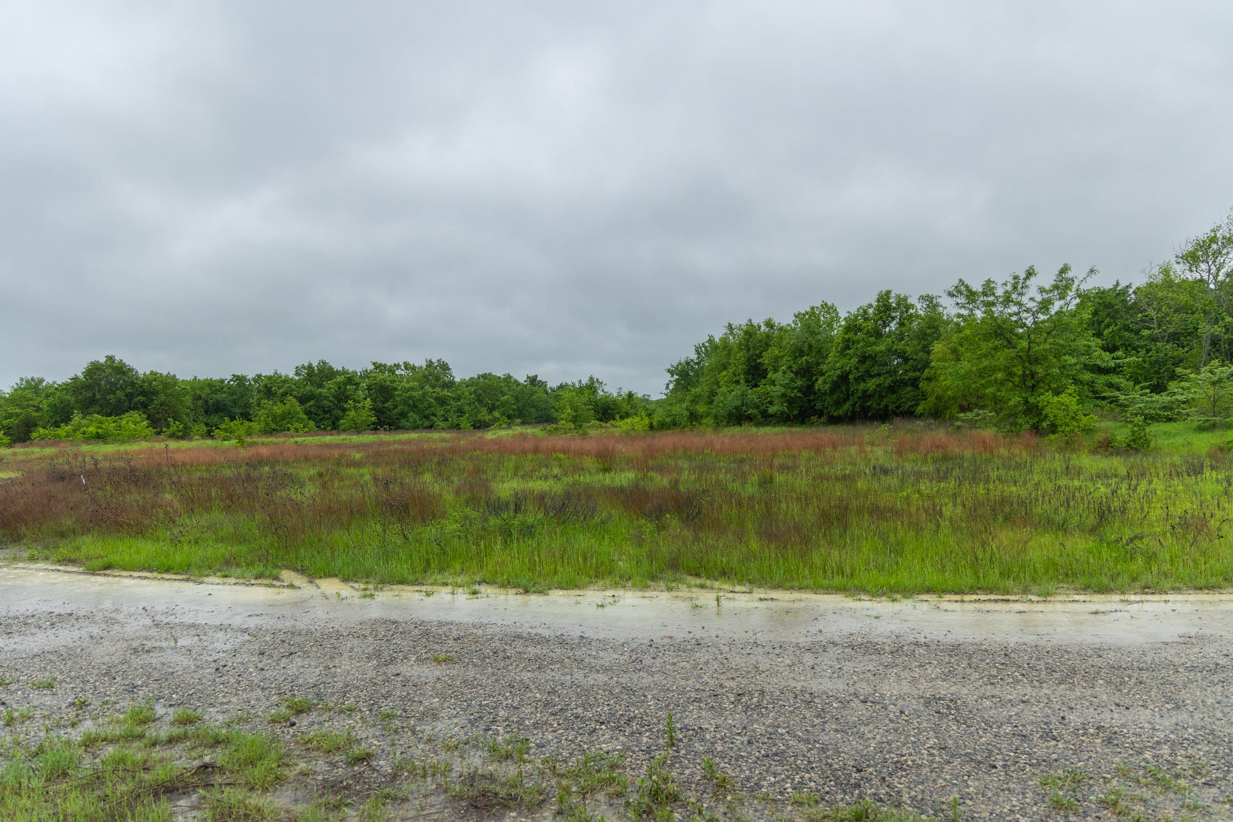 Harmony Hills Tract 20 photo 9