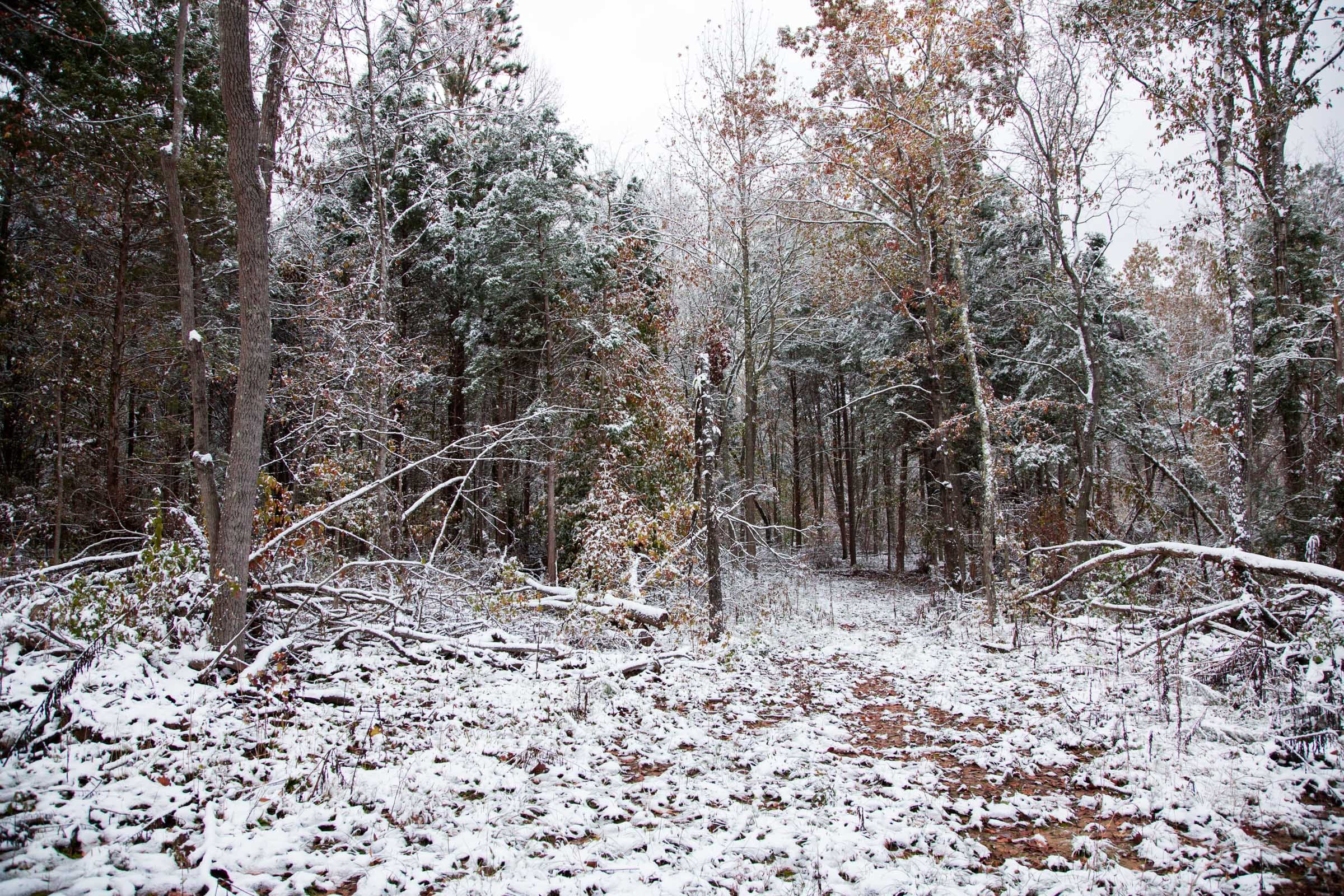 Sweet Water Ranch Tract 14 photo 1