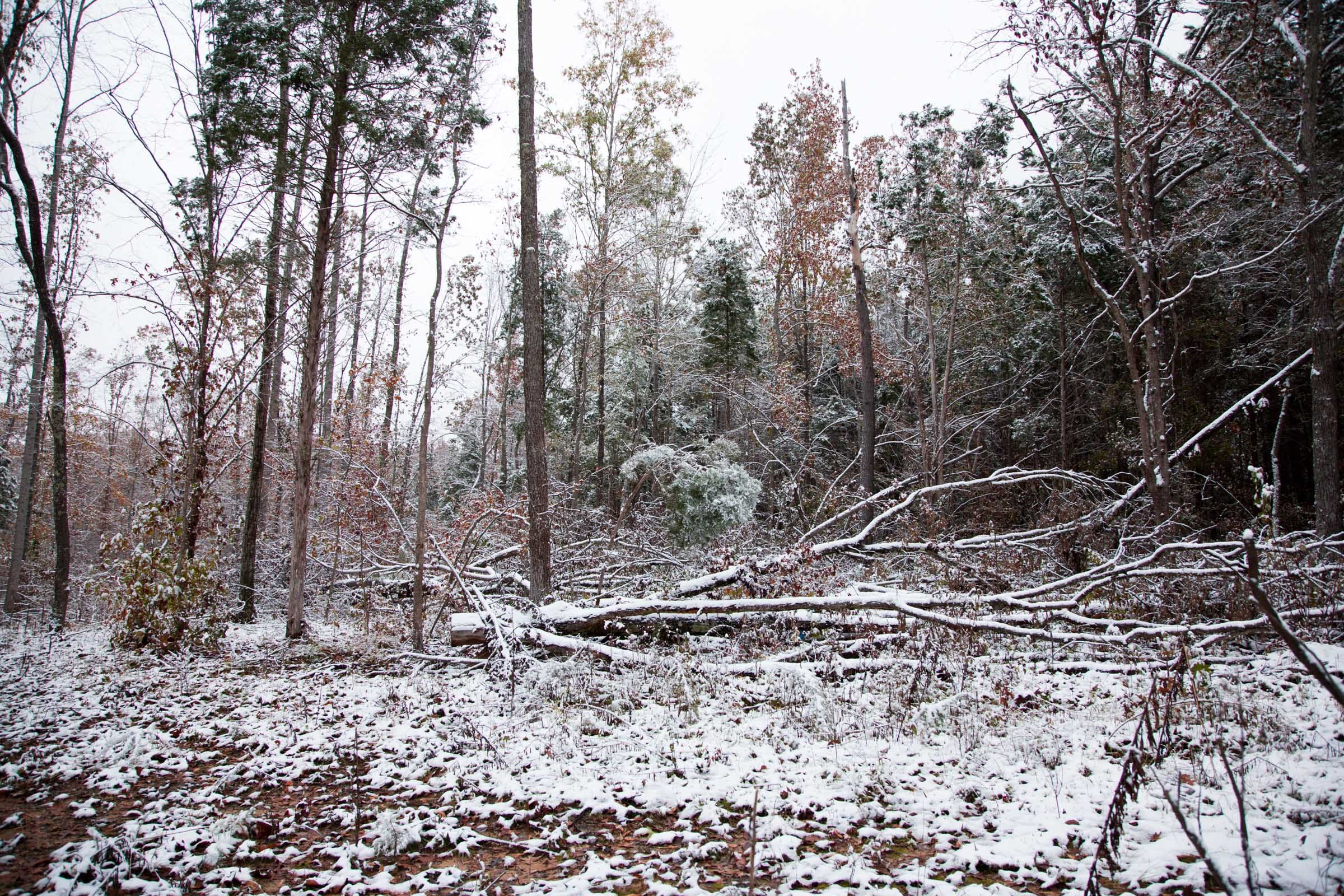 Sweet Water Ranch Tract 14 photo 2