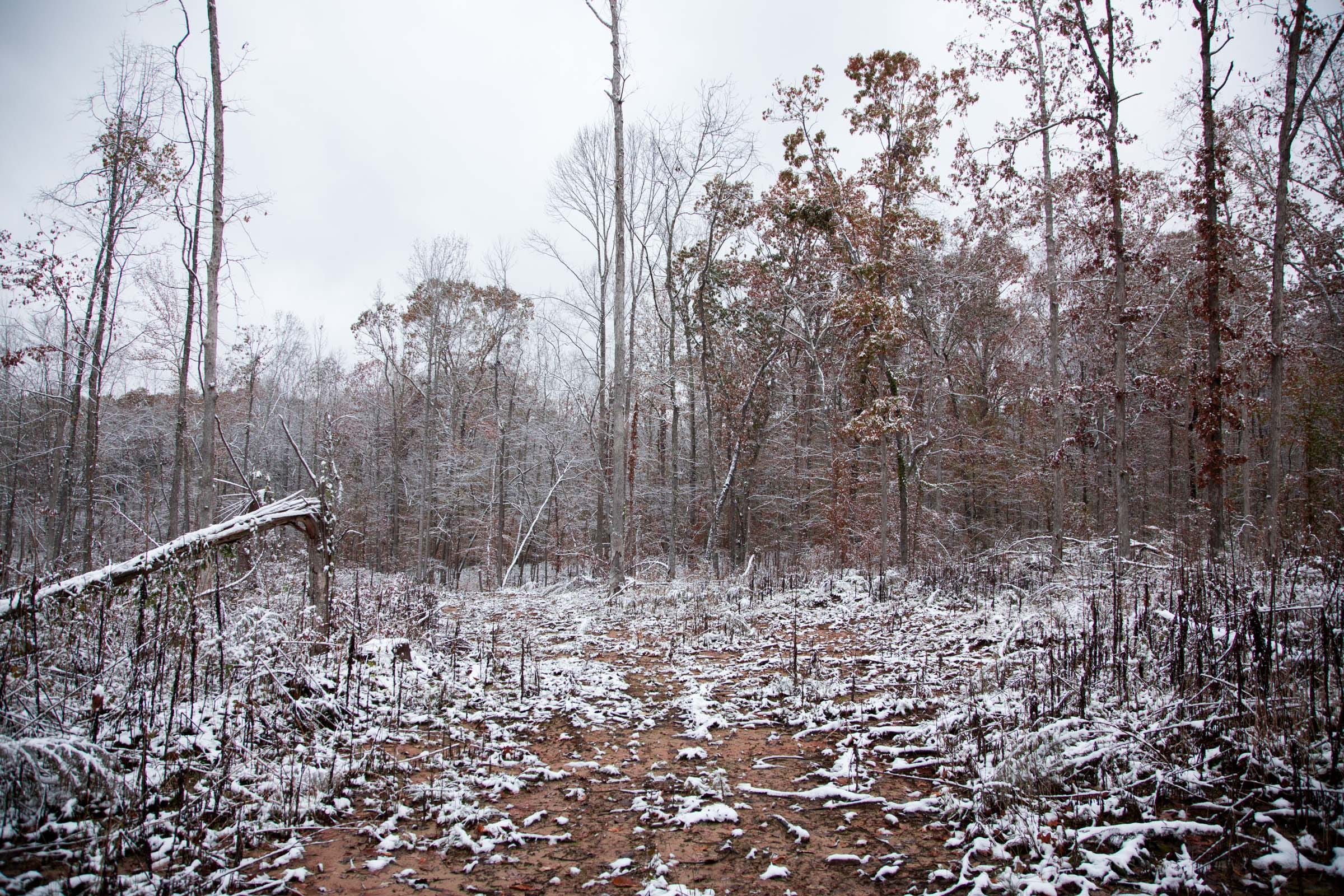 Sweet Water Ranch Tract 14 photo 3